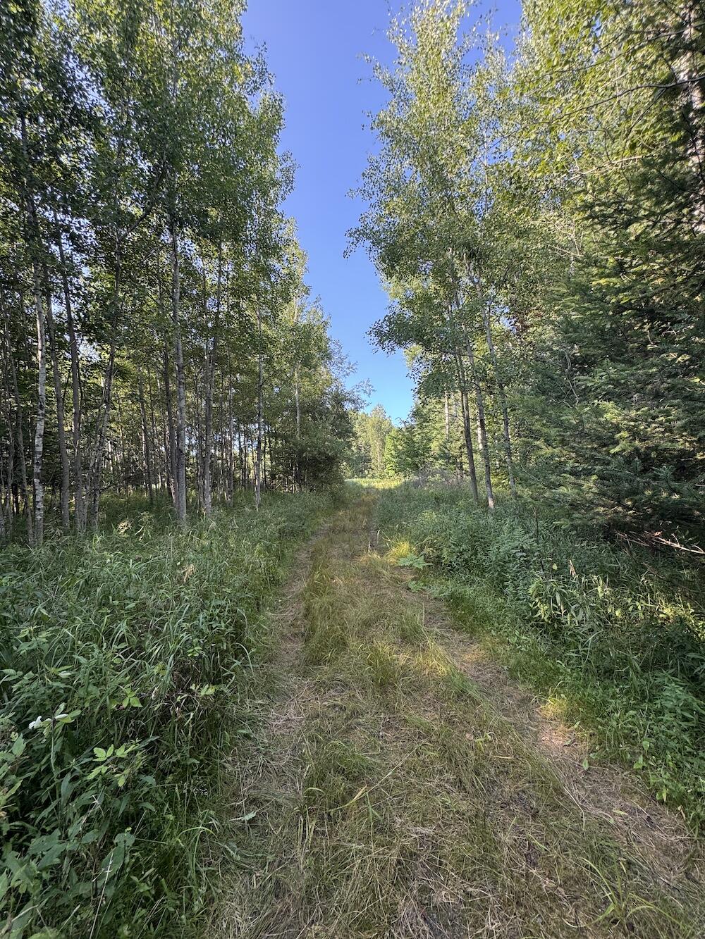 E Procunier Road Property Photo 50