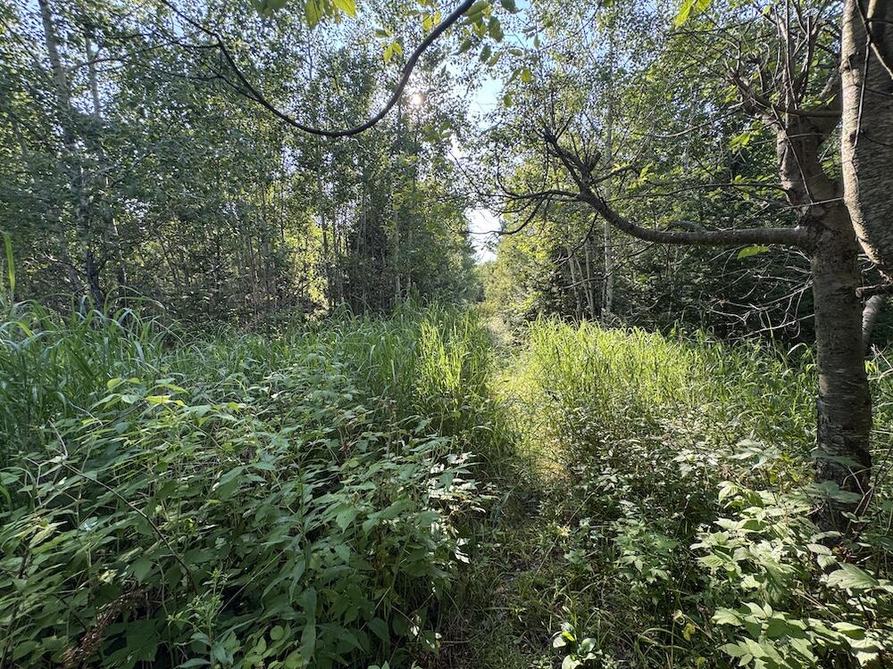 E Procunier Road Property Photo 54