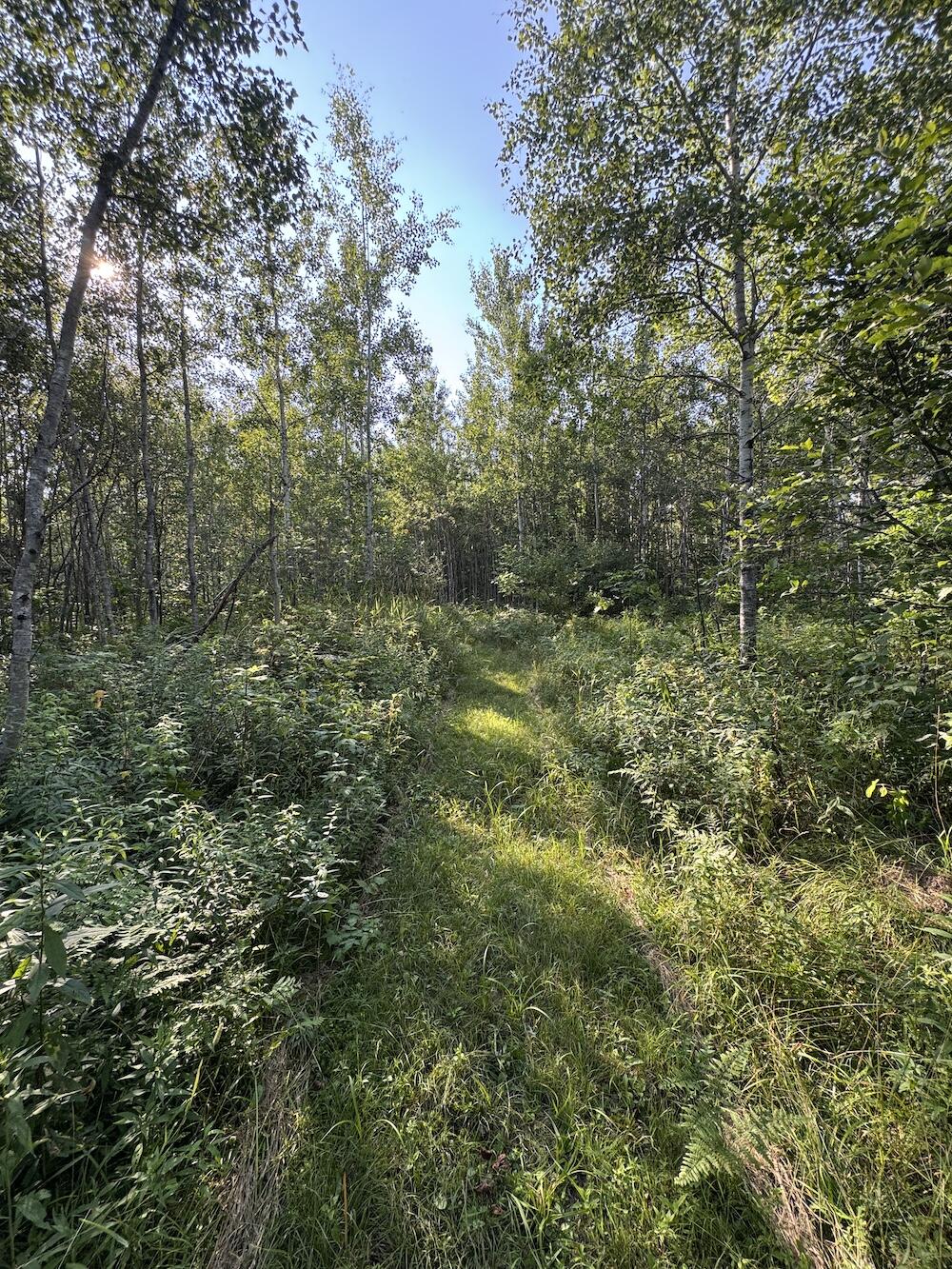 E Procunier Road Property Photo 58