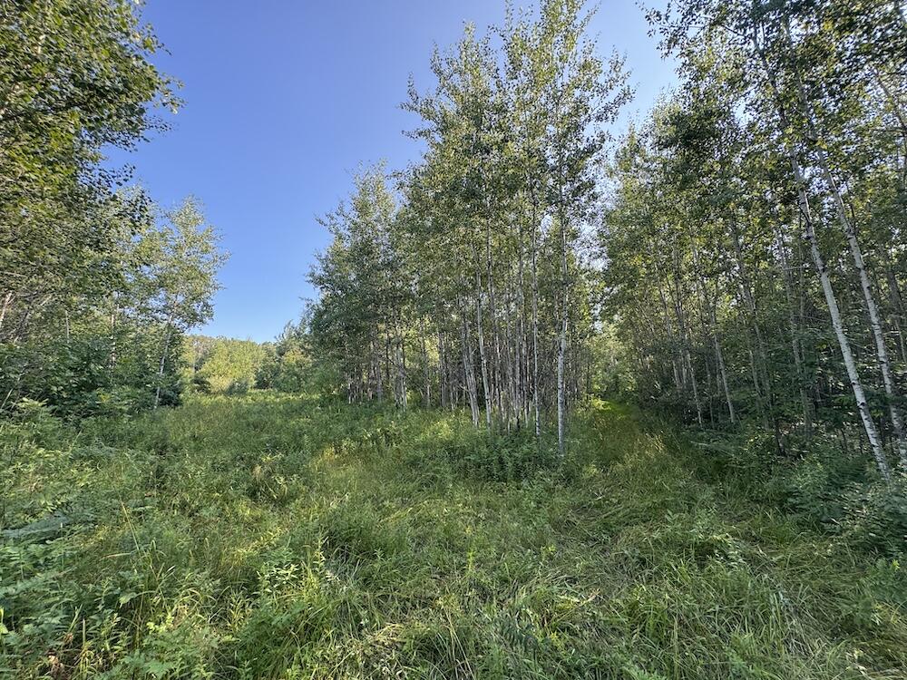 E Procunier Road Property Photo 59
