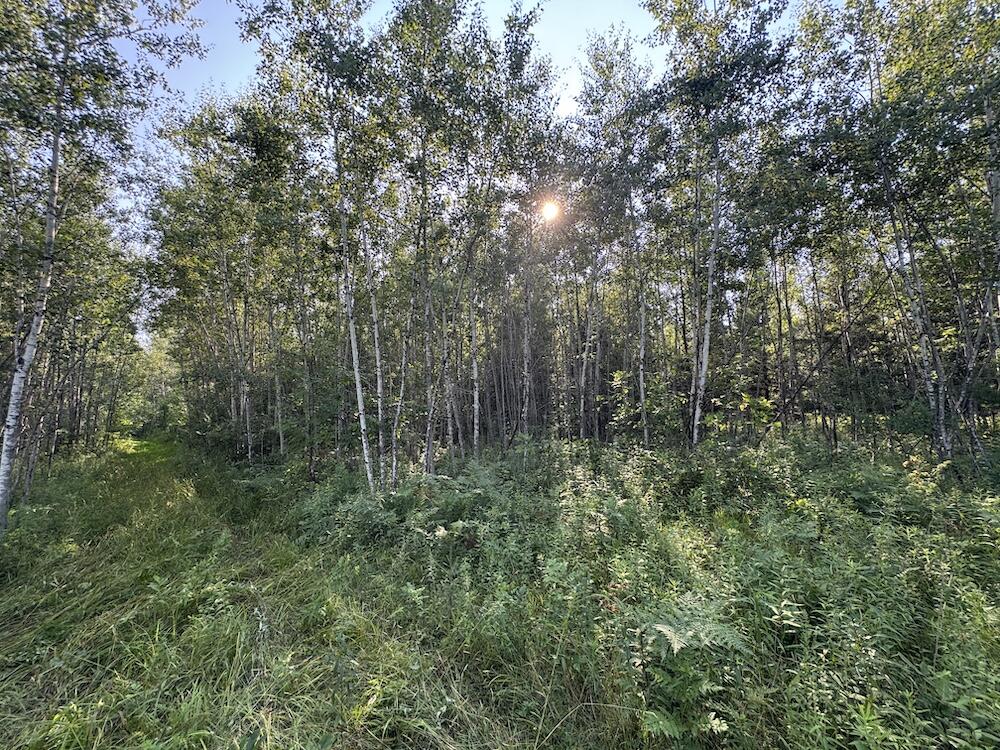 E Procunier Road Property Photo 60