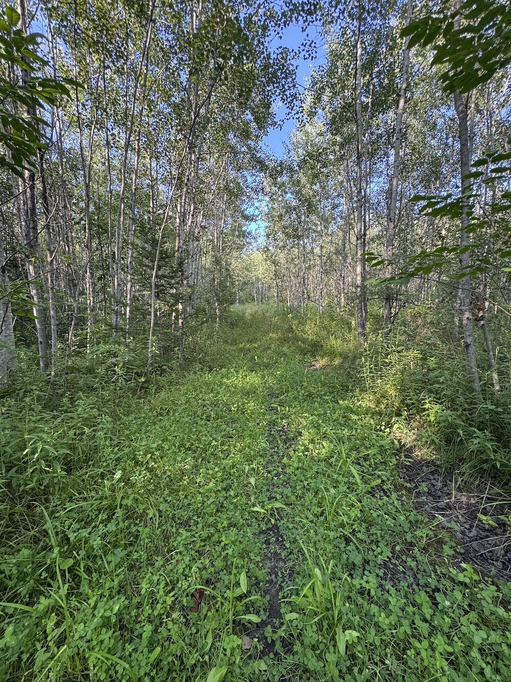 E Procunier Road Property Photo 61