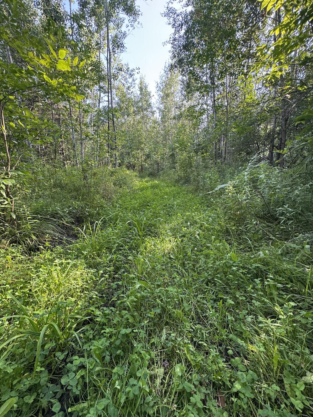 E Procunier Road Property Photo 62