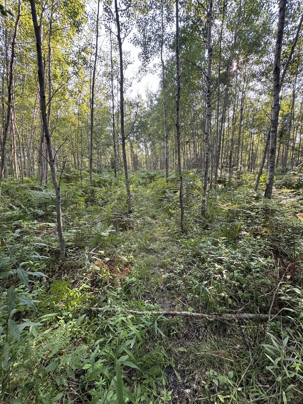 E Procunier Road Property Photo 65