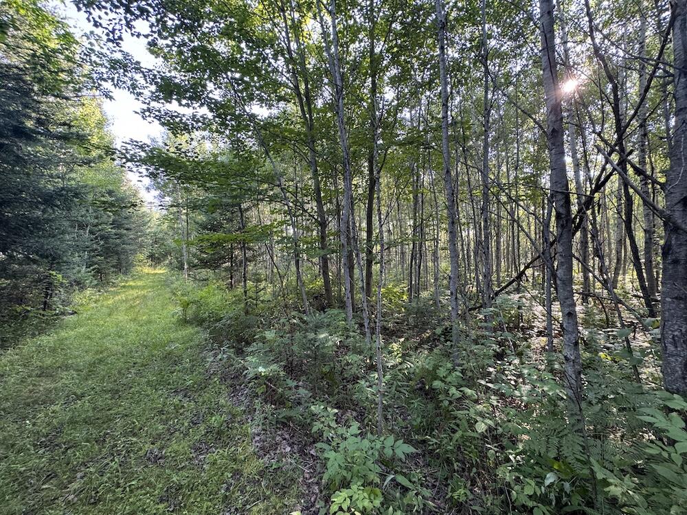 E Procunier Road Property Photo 67