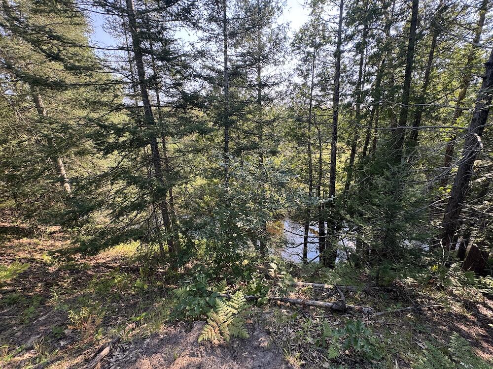 E Procunier Road Property Photo 70