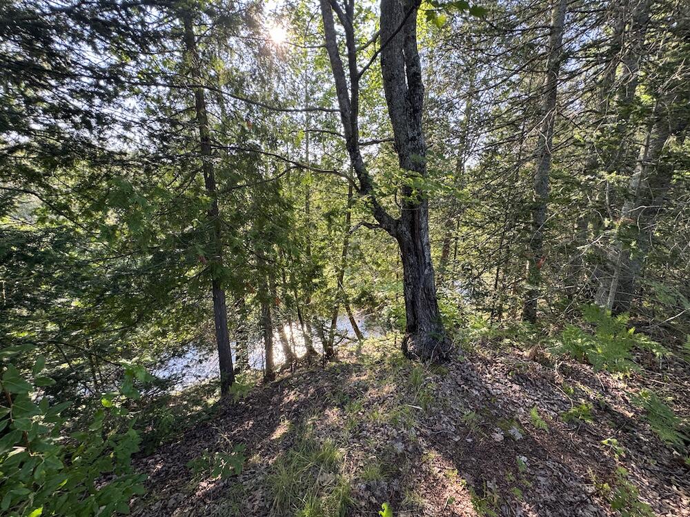 E Procunier Road Property Photo 73