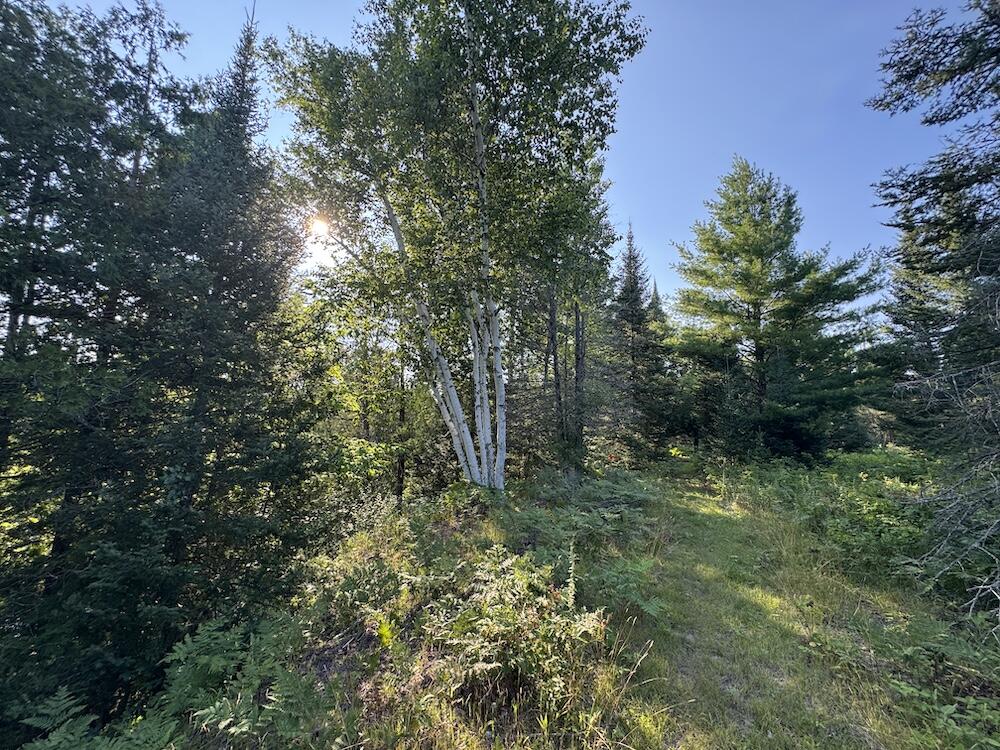 E Procunier Road Property Photo 75