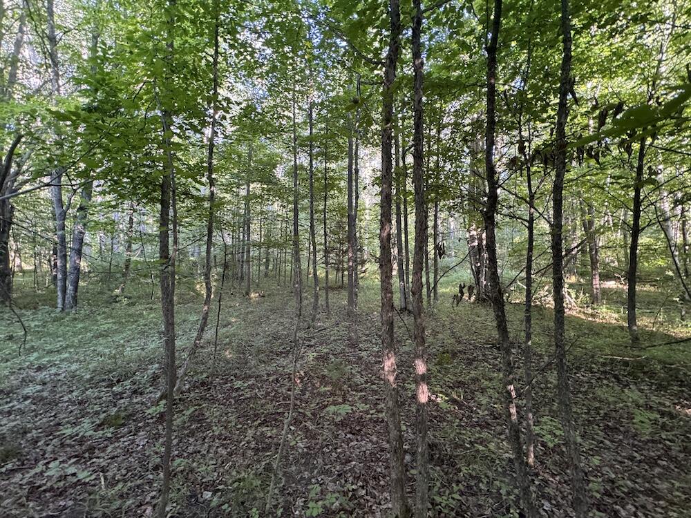 E Procunier Road Property Photo 76