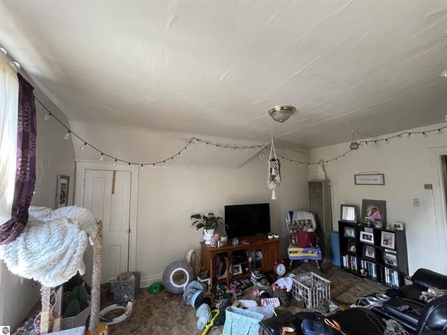 314 E Pine Street Property Photo 22