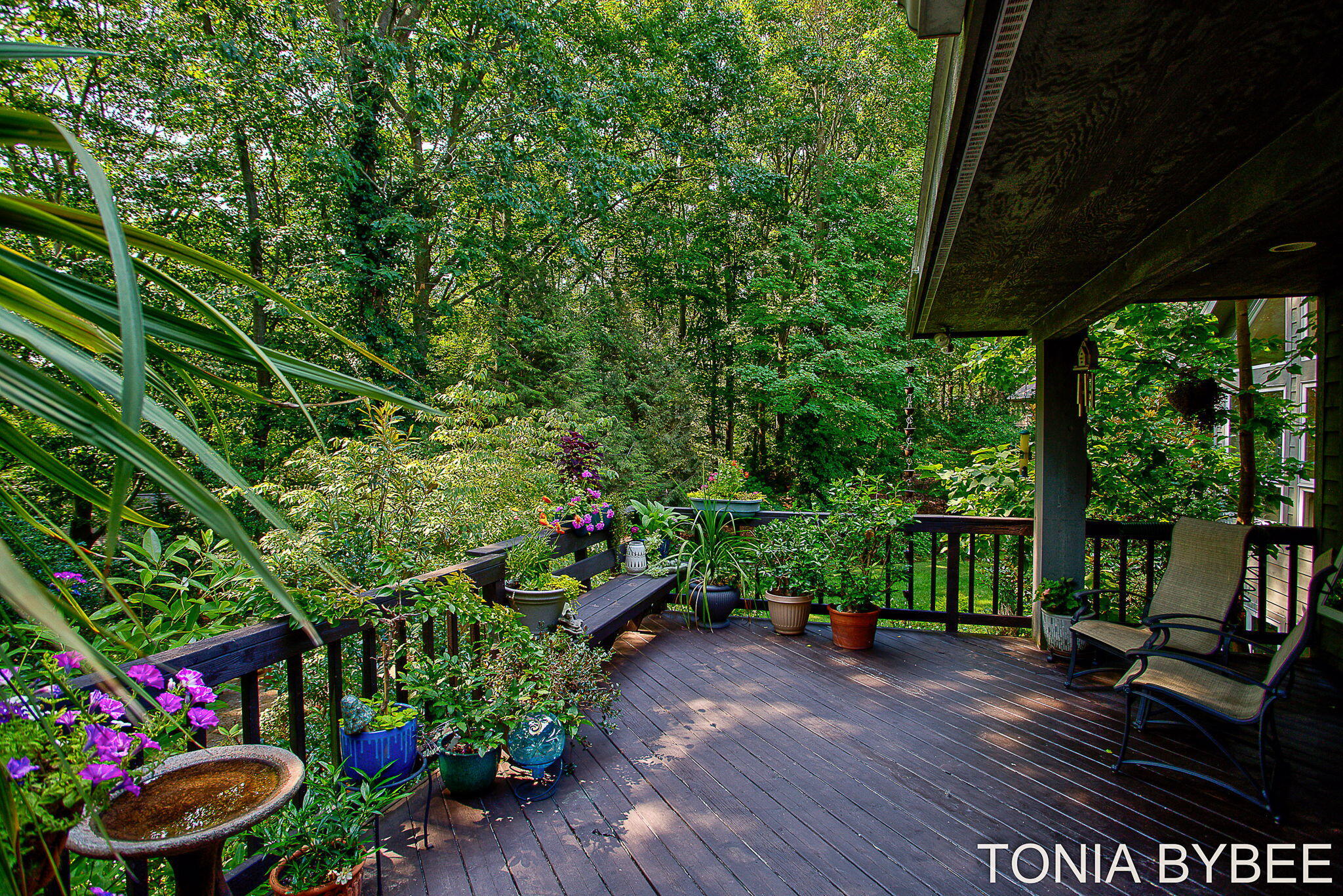 2302 Timberlee Drive Property Photo 63