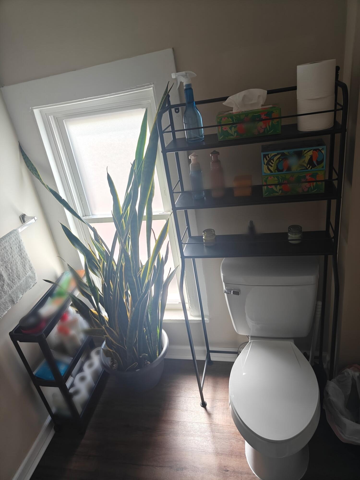 17 N Summit Street Property Photo 11