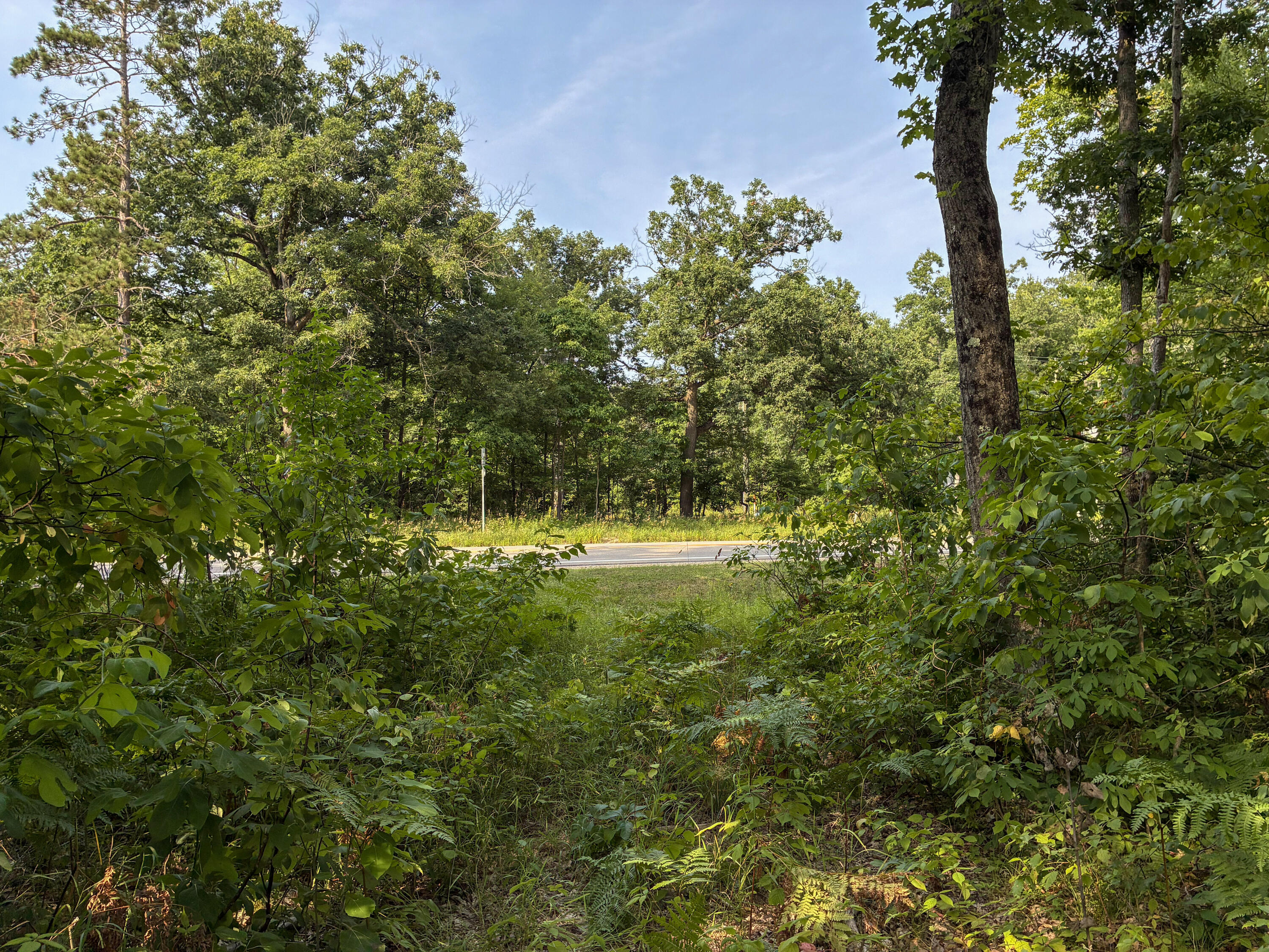 V/l E Jackson Street Property Photo 6
