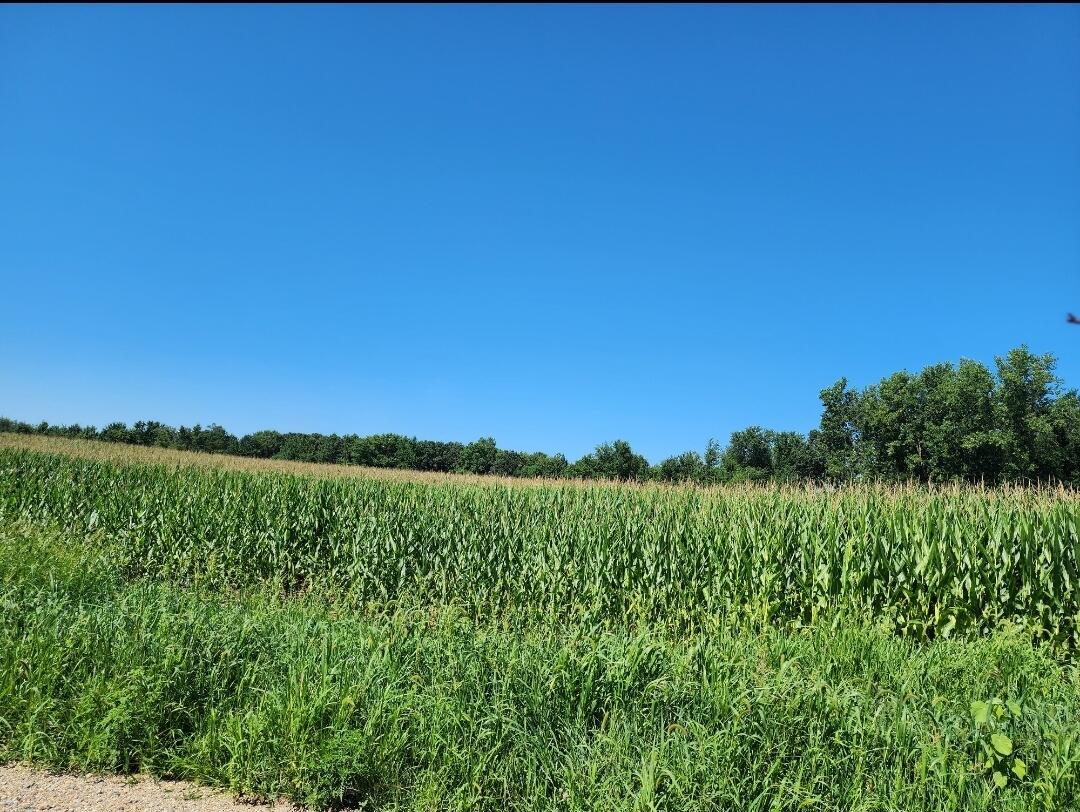 Root V/l Road Property Photo 1