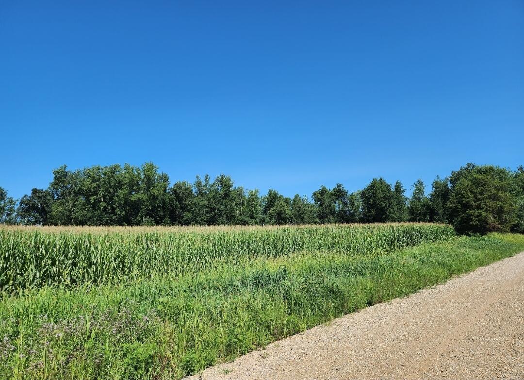 Root V/l Road Property Photo 2