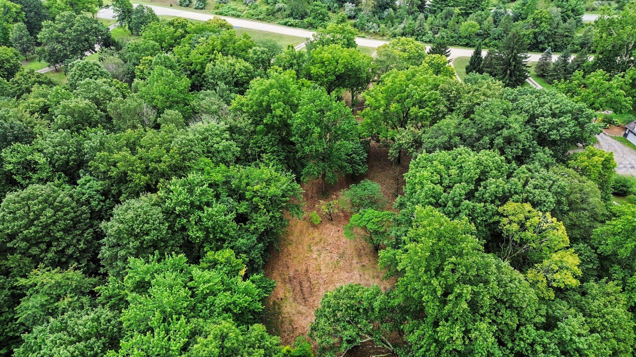 4239 Lake Chapin Bluff Property Photo 3