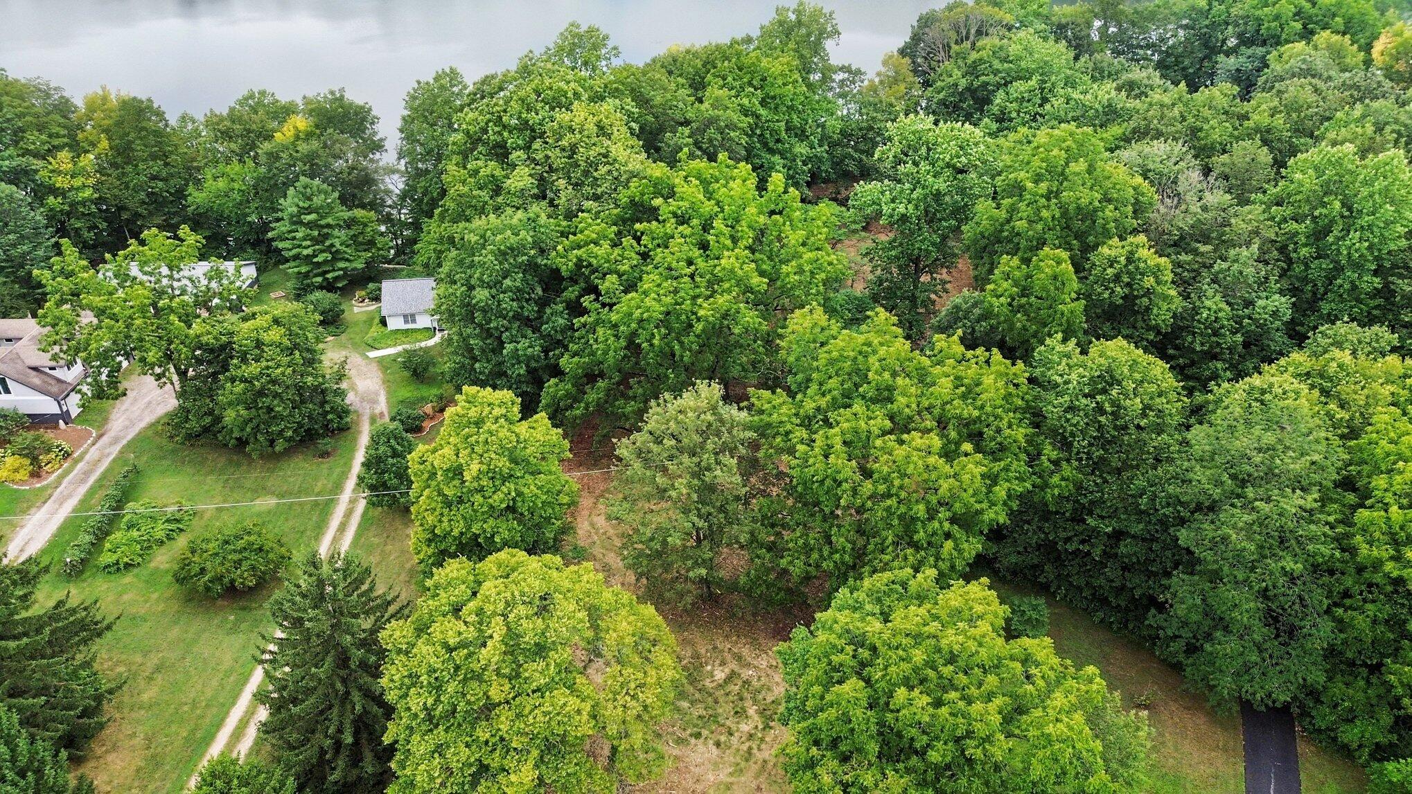 4239 Lake Chapin Bluff Property Photo 7