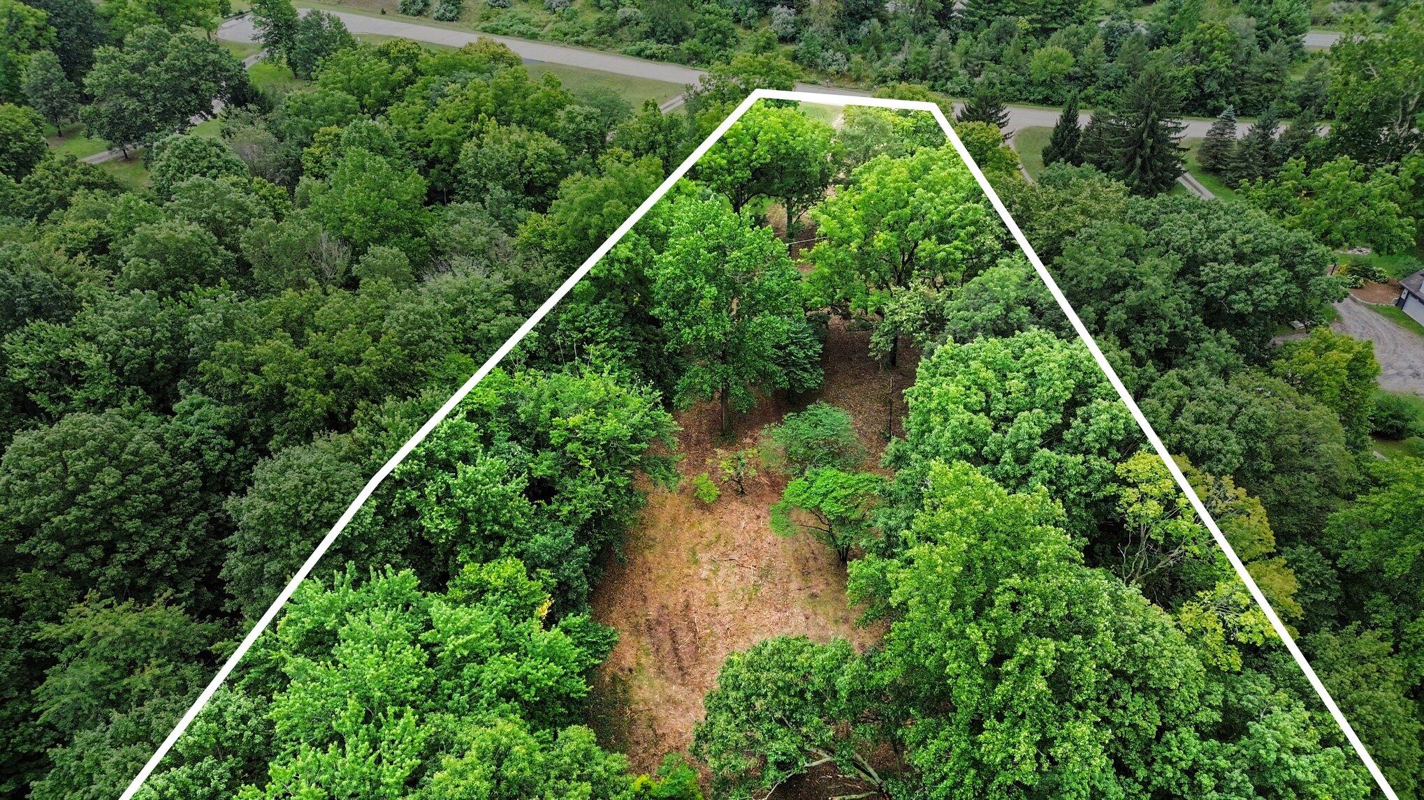4239 Lake Chapin Bluff Property Photo 14