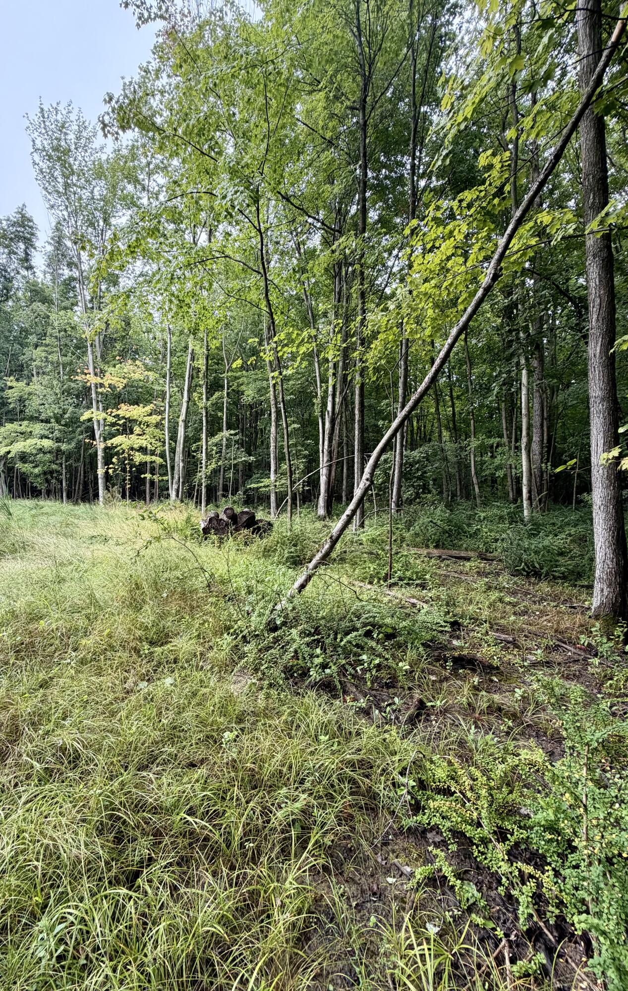 Lot 6 Christopher Lane Property Photo 3
