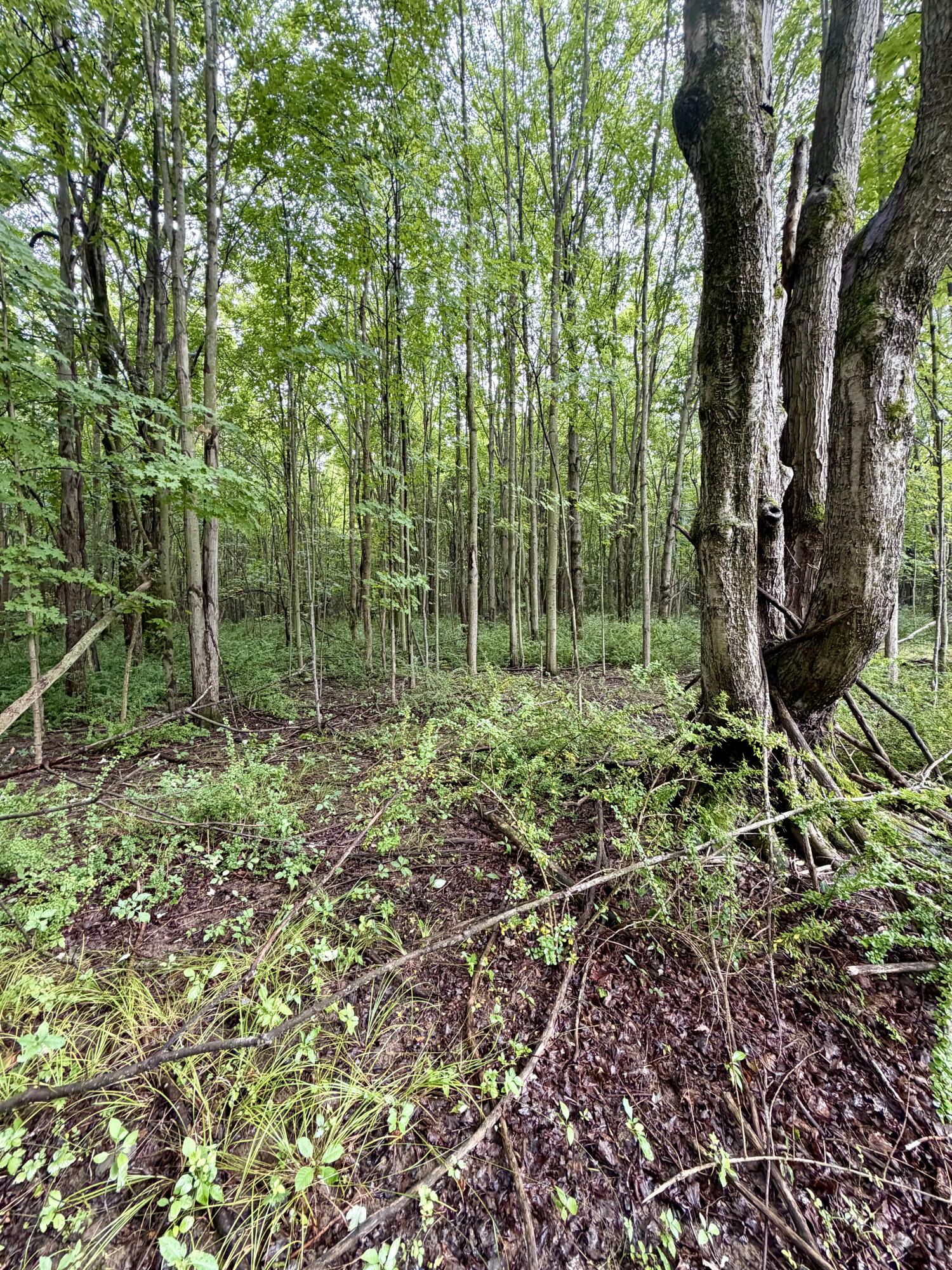 Lot 6 Christopher Lane Property Photo 5