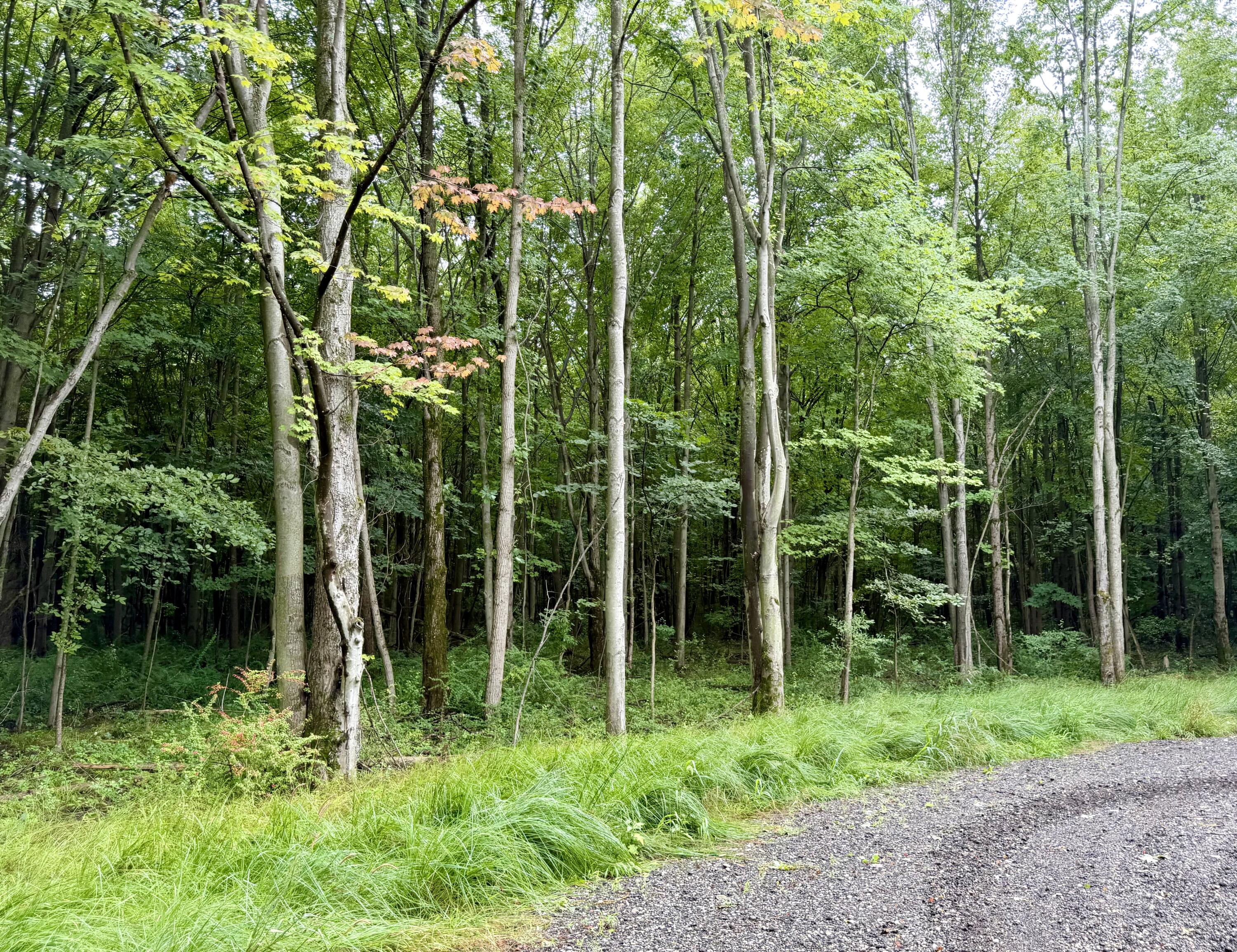Lot 6 Christopher Lane Property Photo 7