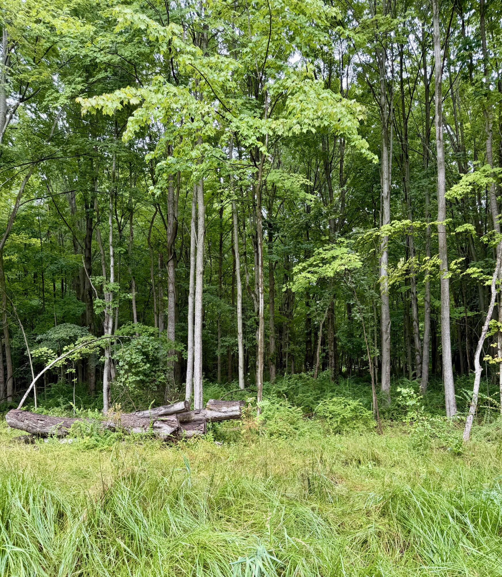 Lot 6 Christopher Lane Property Photo 10