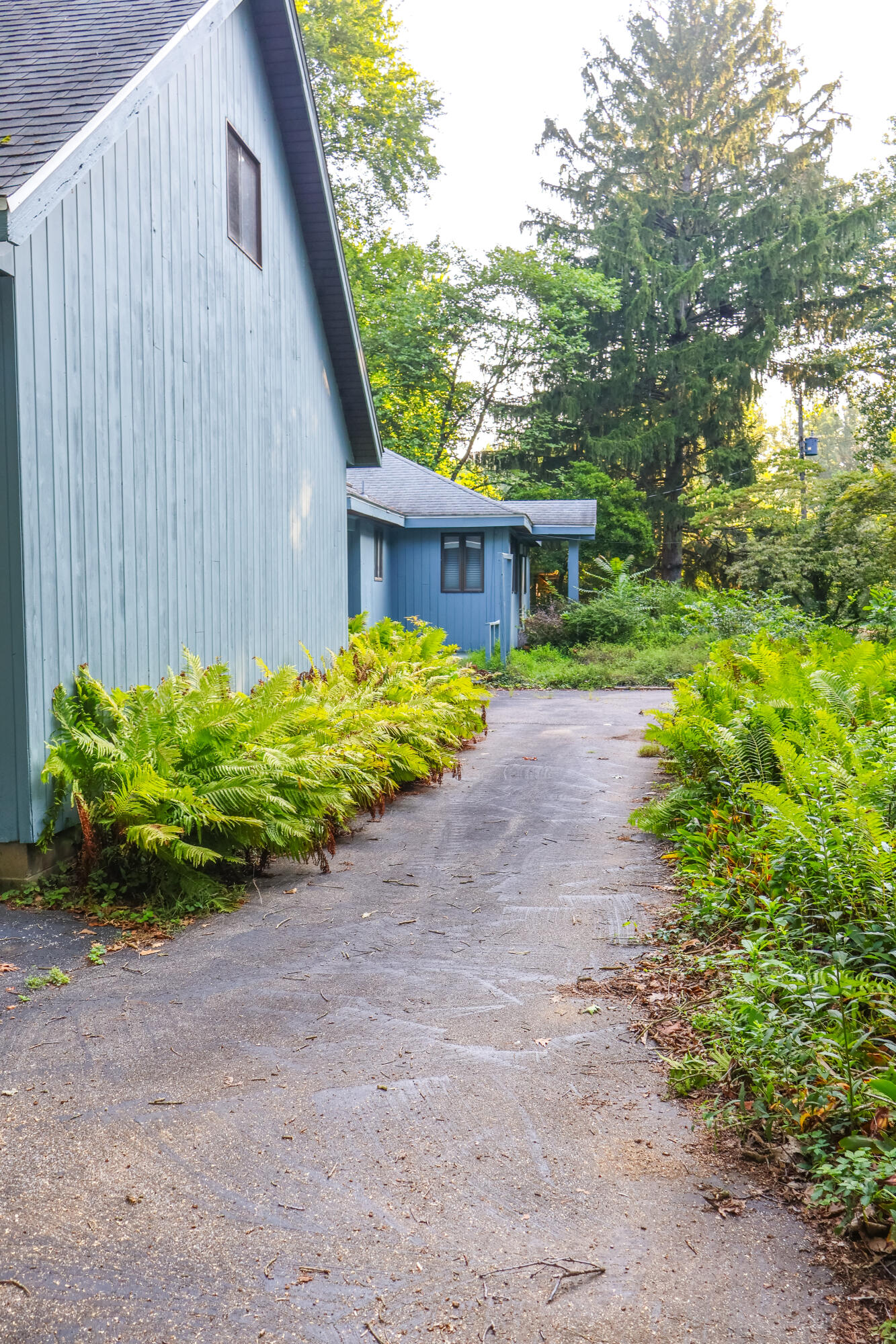 14770 Marquette Road Property Photo 27