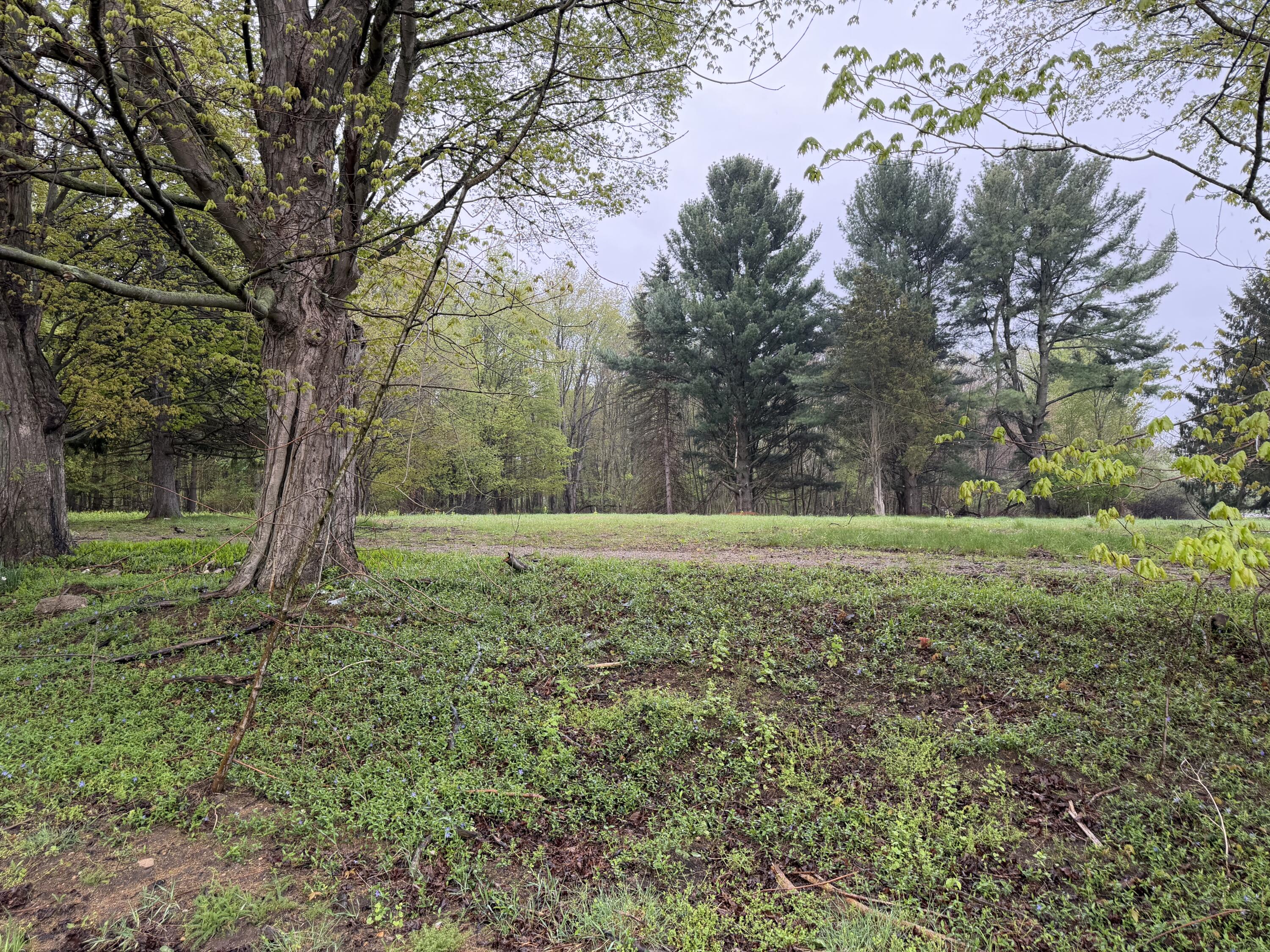 Lot 1 Christopher Lane Property Photo 1