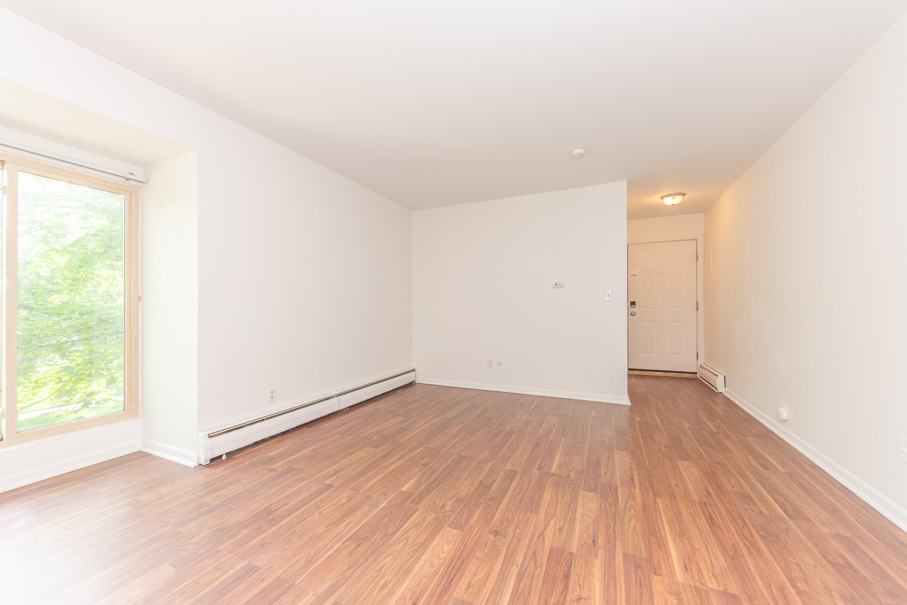 1310 Packard Street Property Photo 15