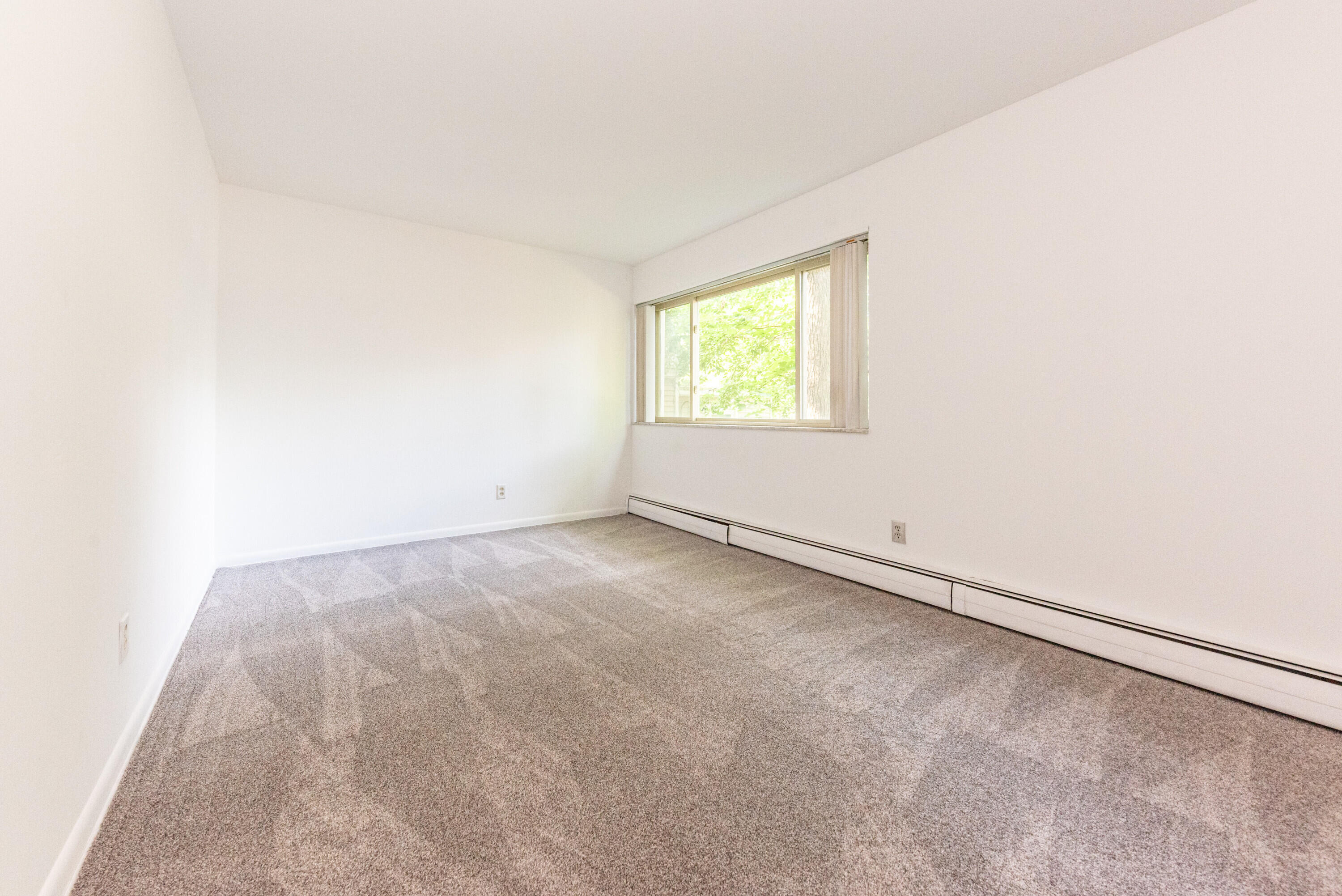 1310 Packard Street Property Photo 51