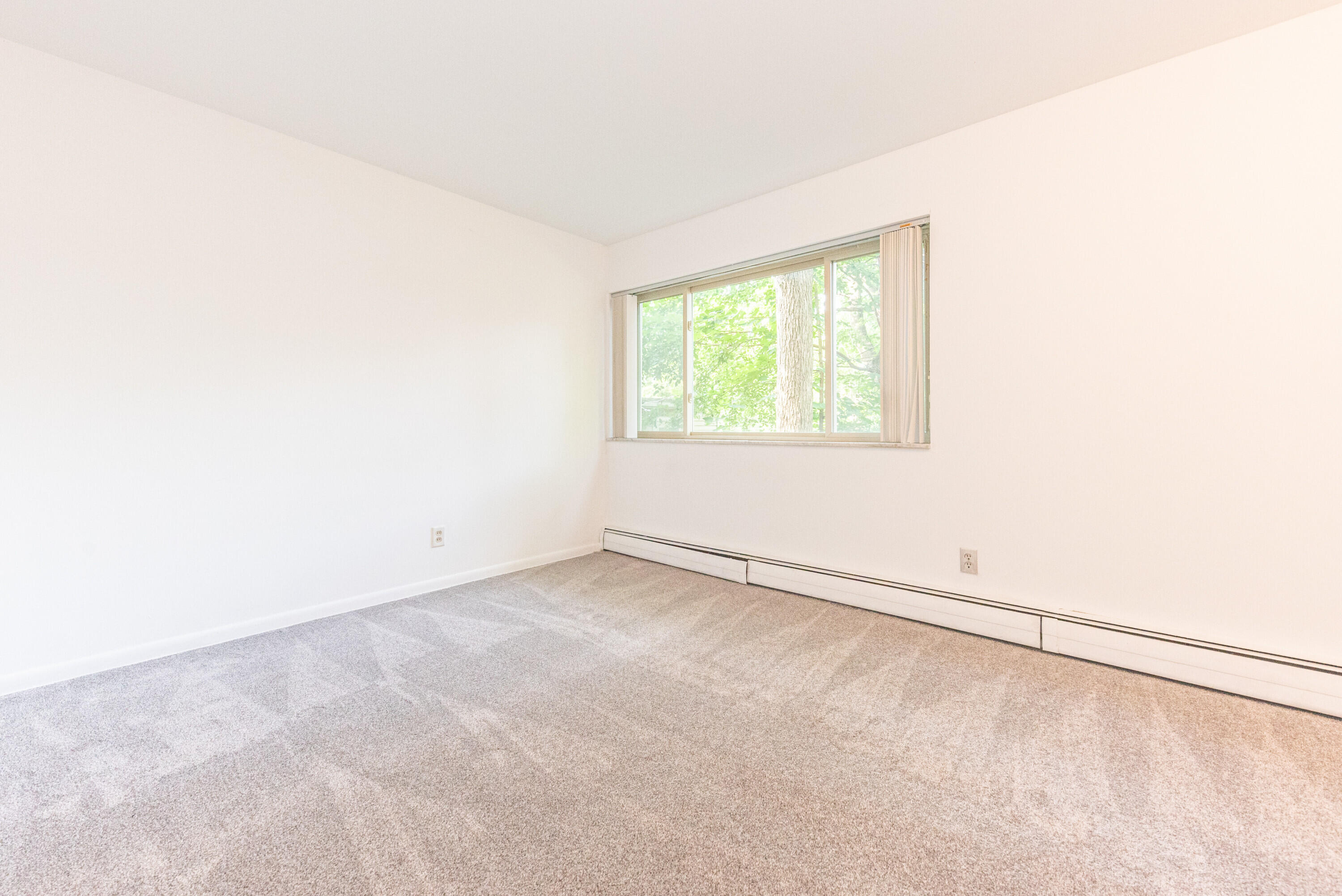 1310 Packard Street Property Photo 52