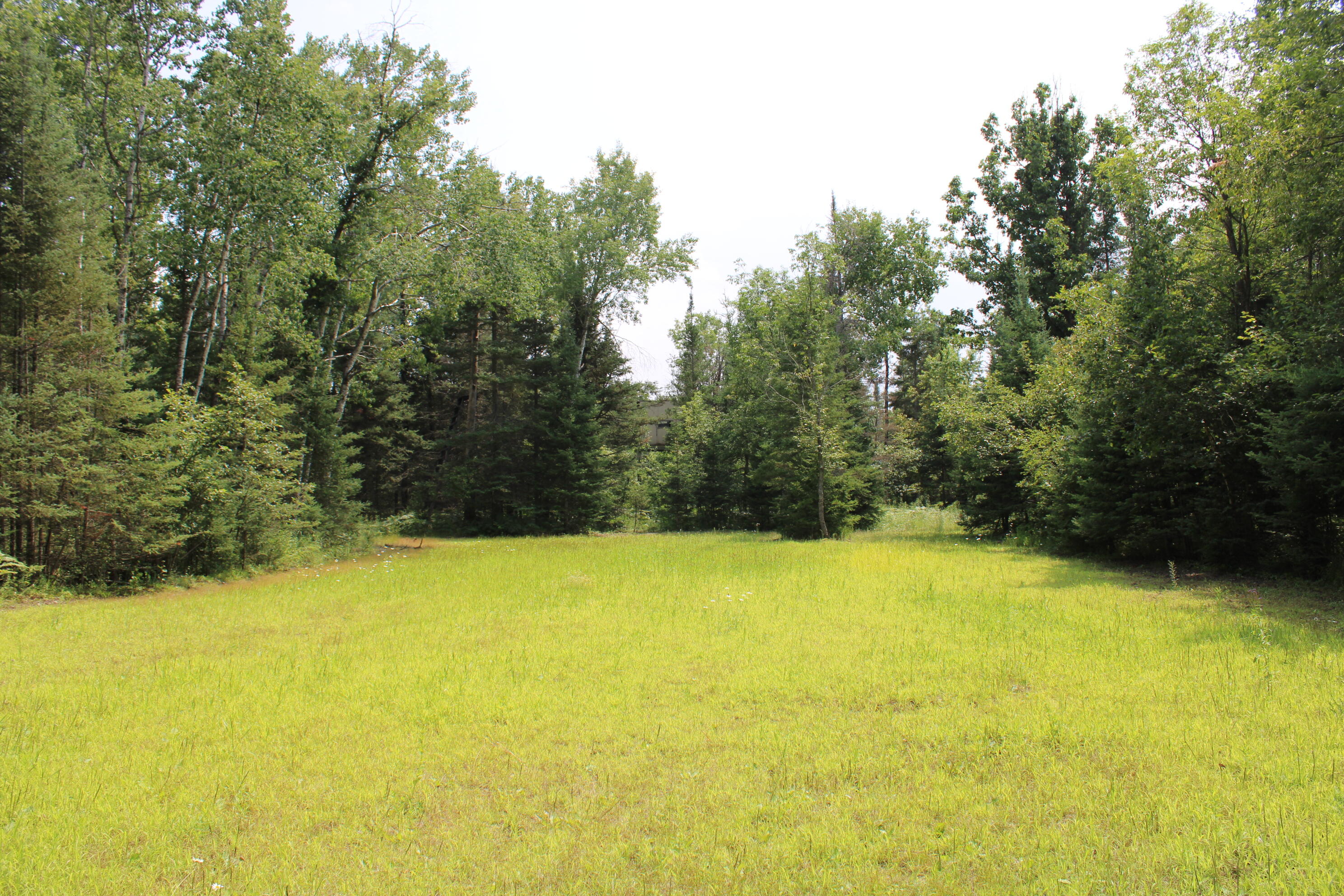 1710 Miller Road Property Photo 53