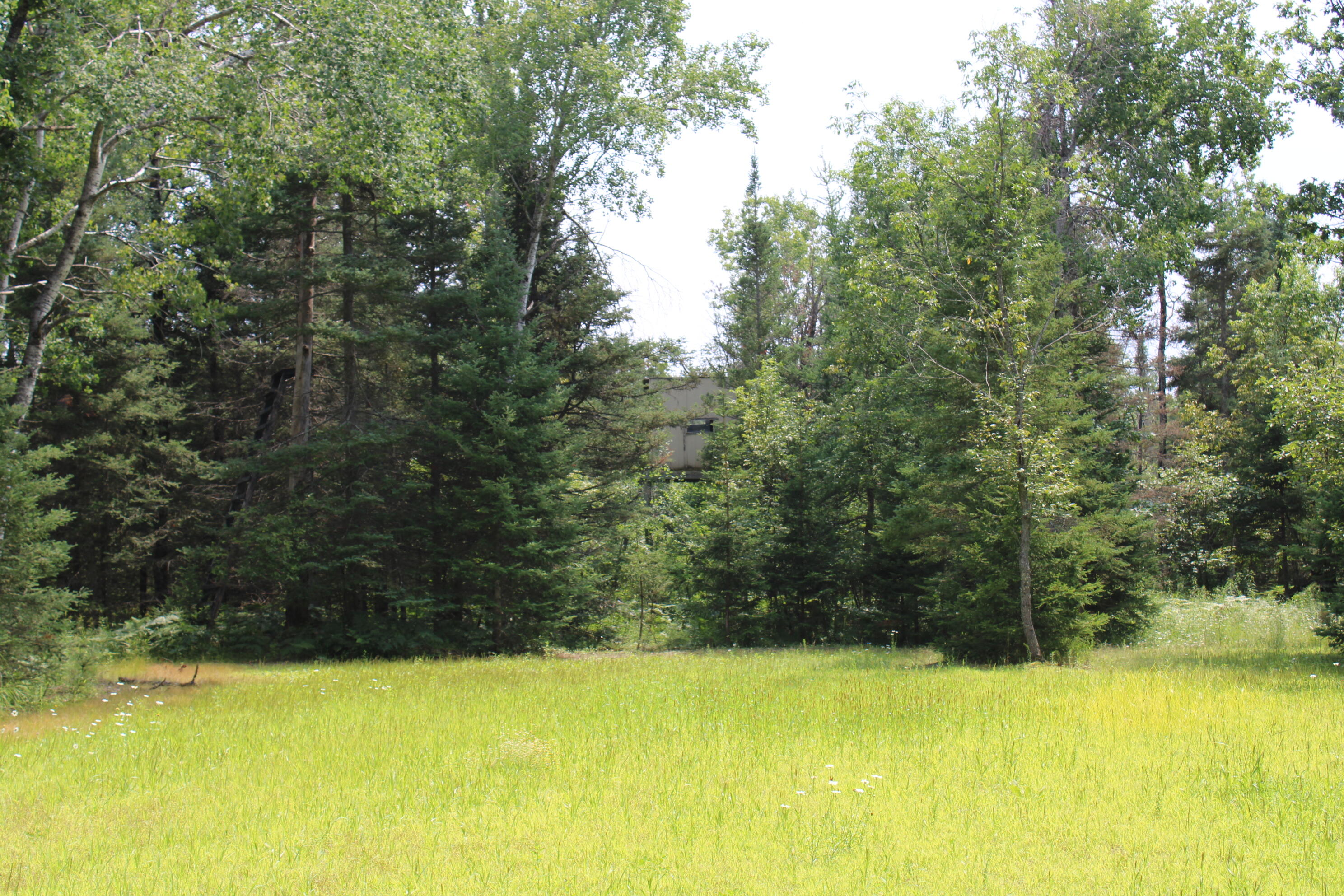 1710 Miller Road Property Photo 54