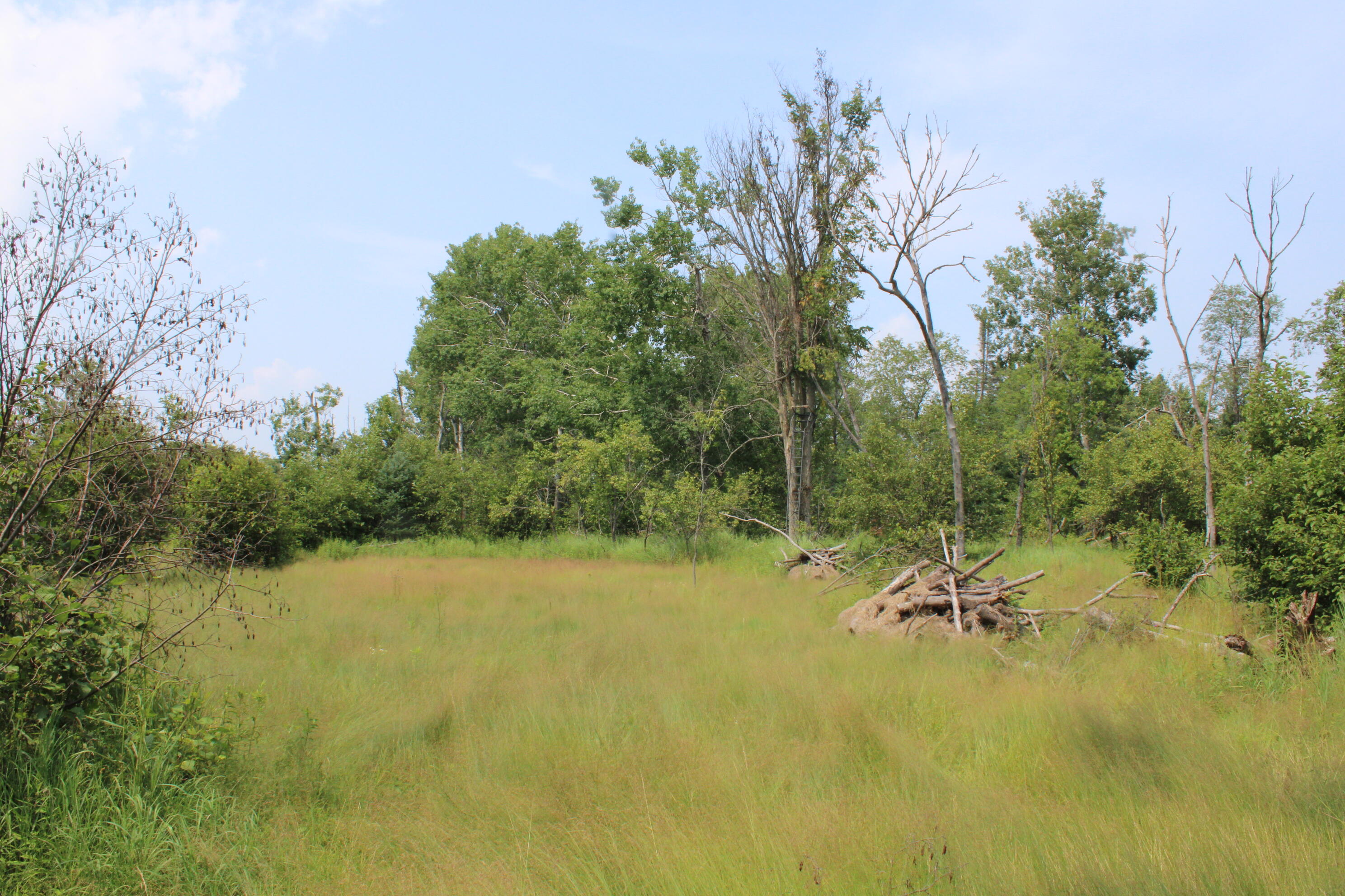 1710 Miller Road Property Photo 56