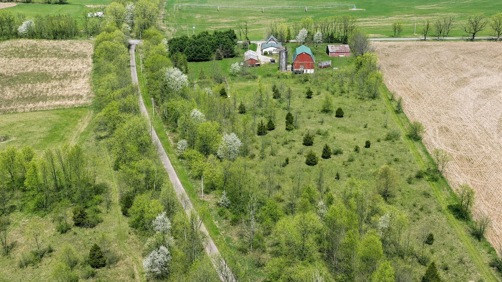 11481 Cressey Road Property Photo 7