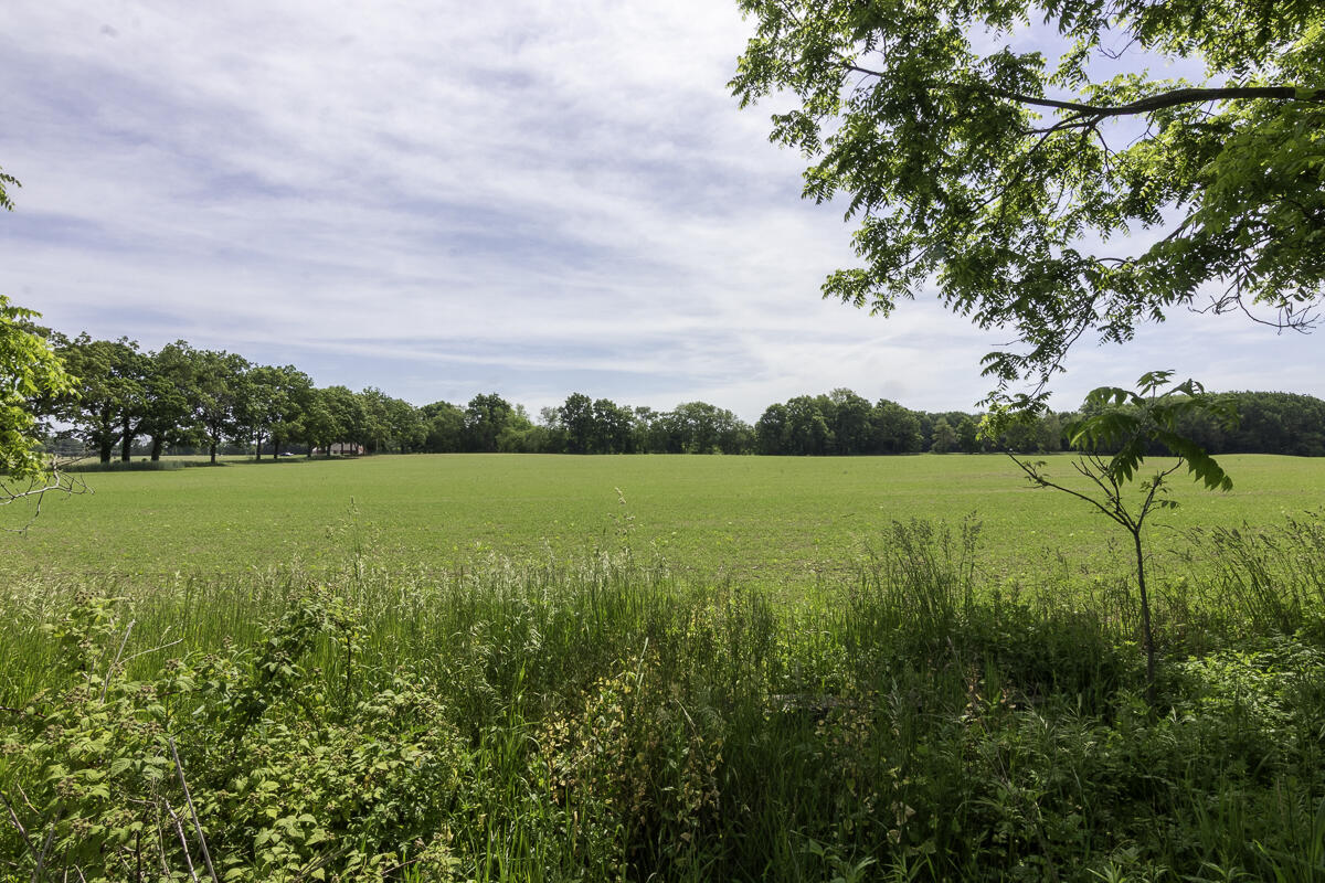 11481 Cressey Road Property Photo 60