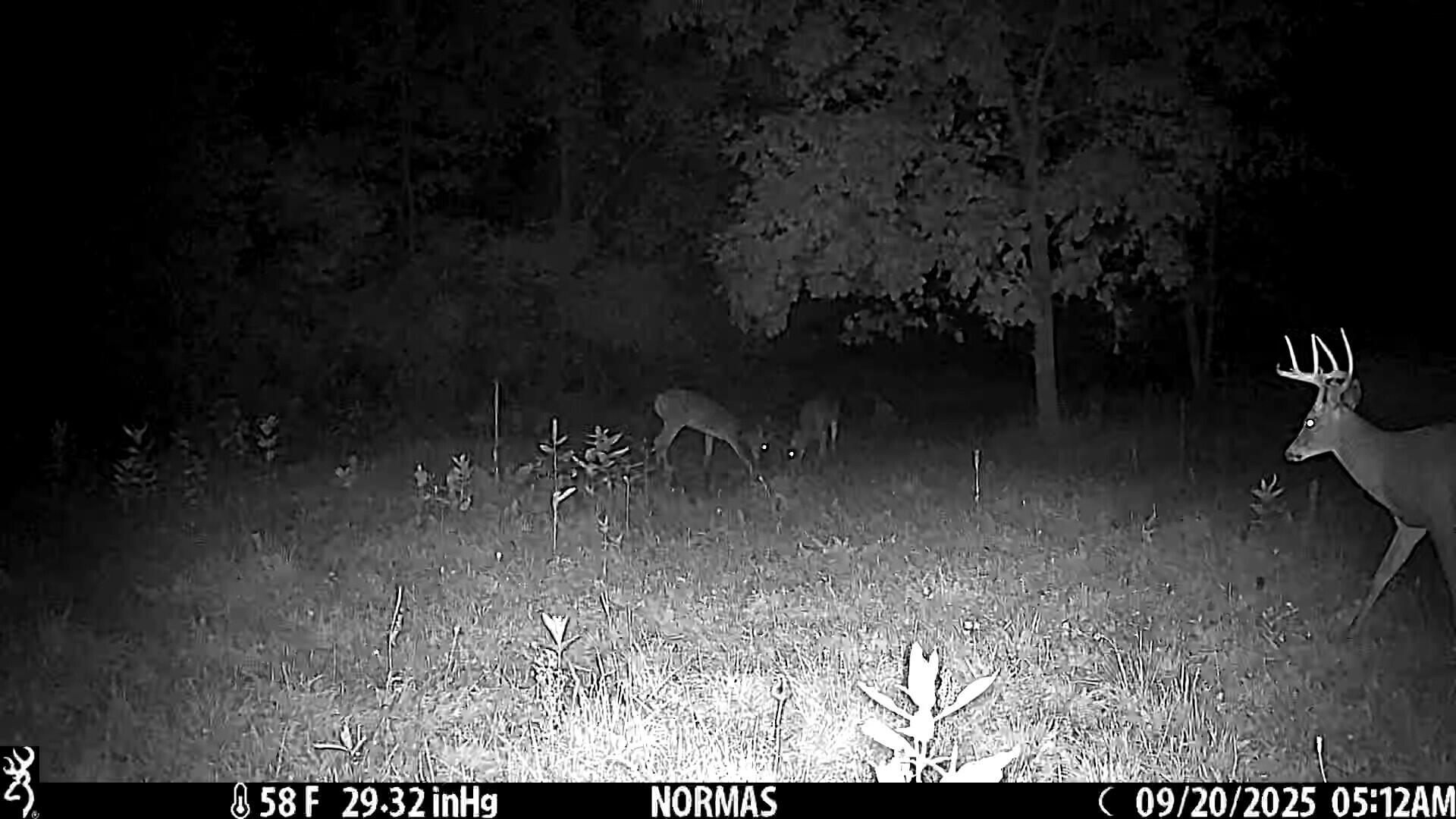 355 N Shaw Road Property Photo 57