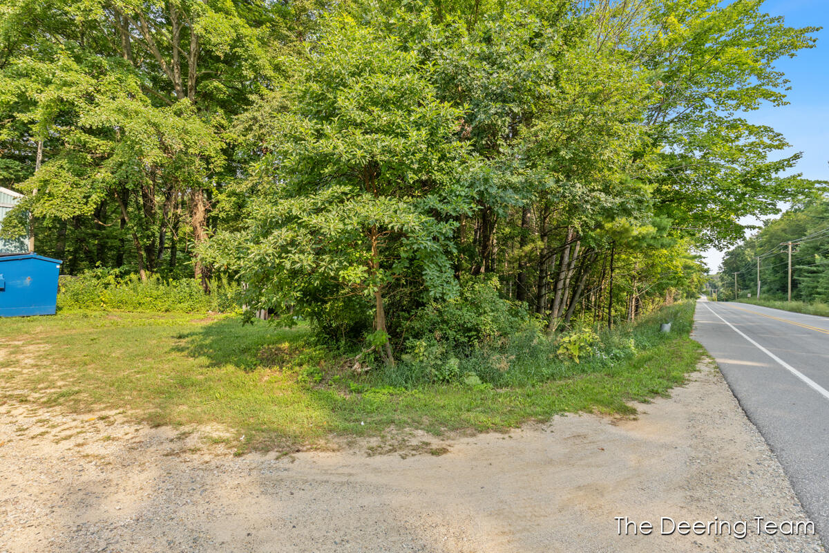 3555 S Elm Avenue Property Photo 18