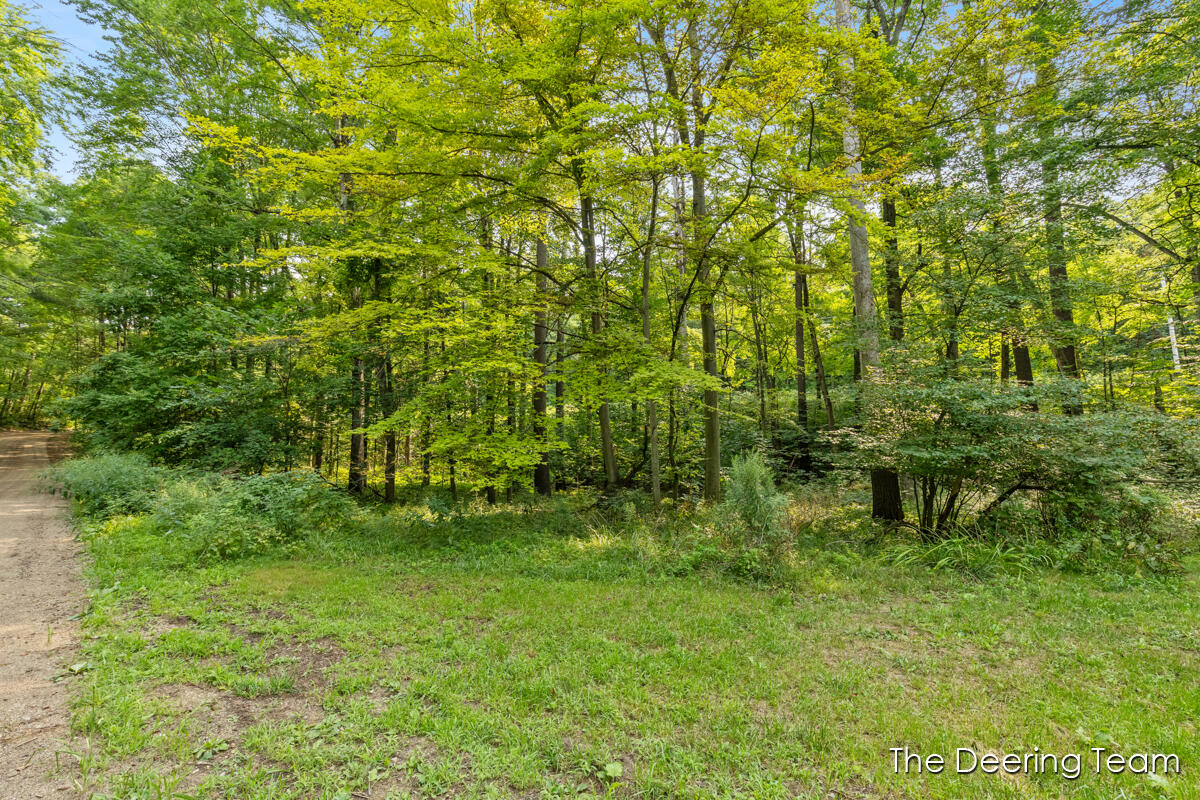 3555 S Elm Avenue Property Photo 22