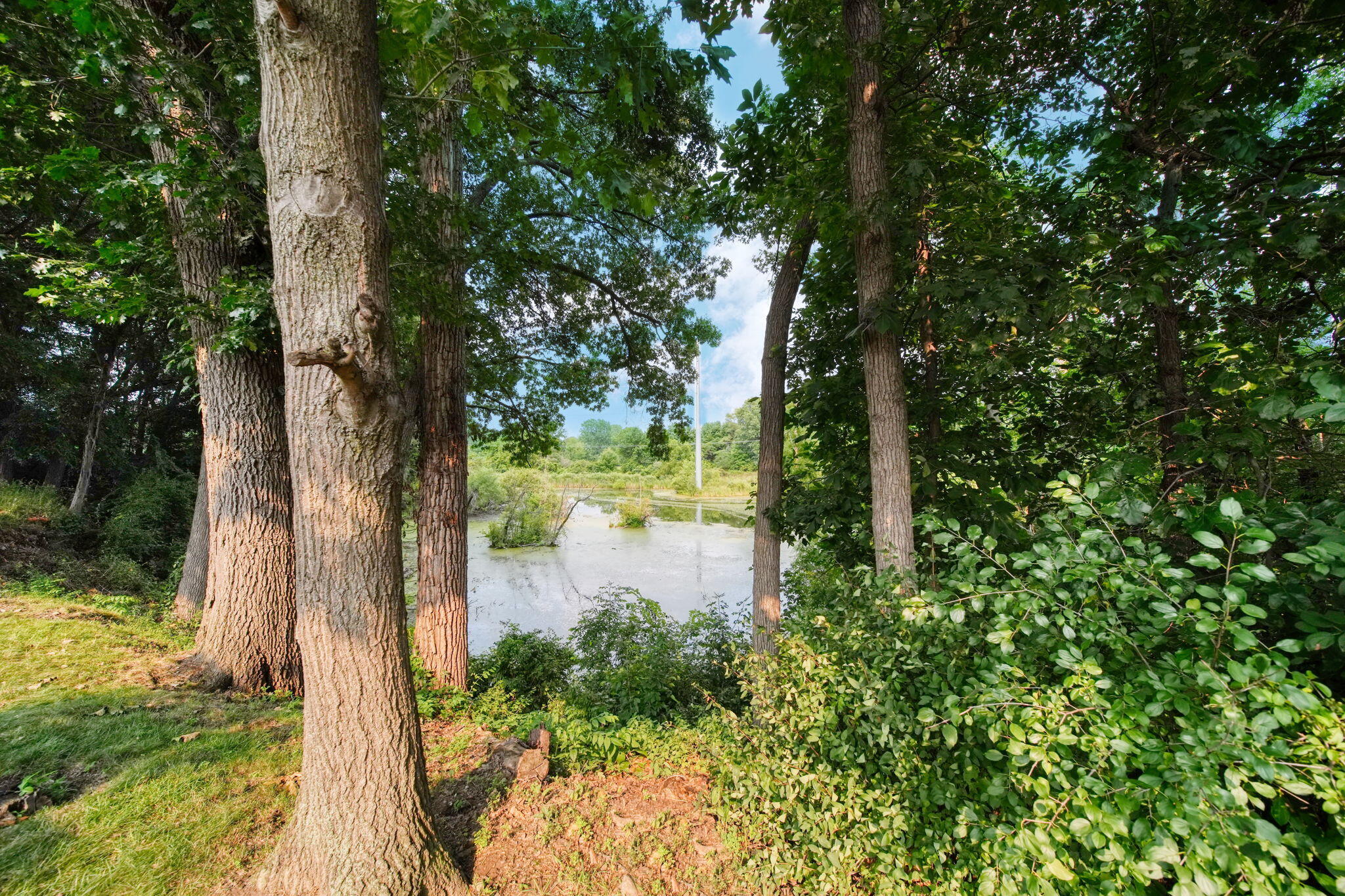 4211 Aspen Way Property Photo 47