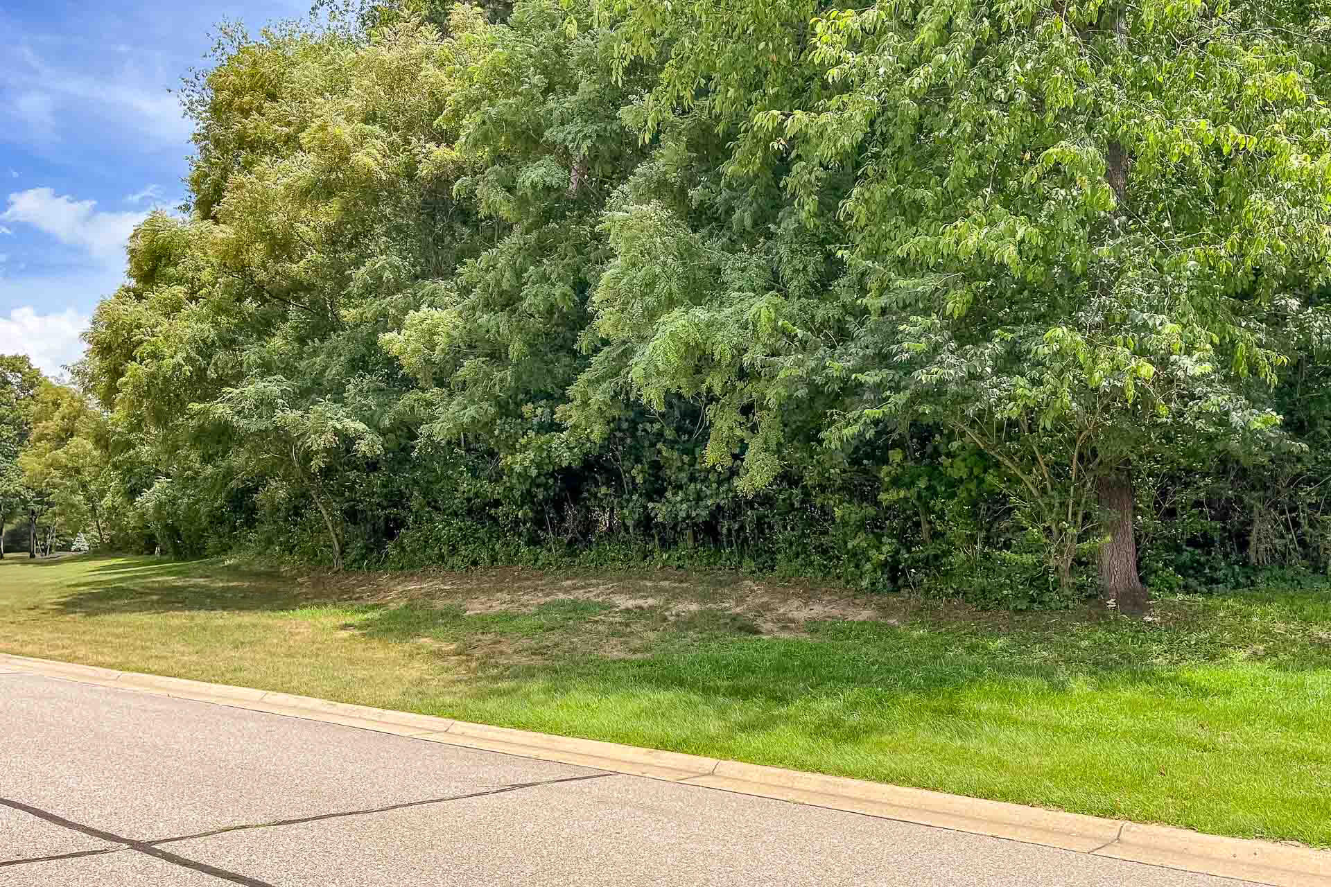 Pine Ridge Drive 9 Property Photo 5