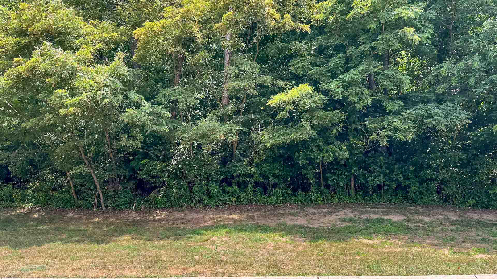 Pine Ridge Drive 9 Property Photo 6