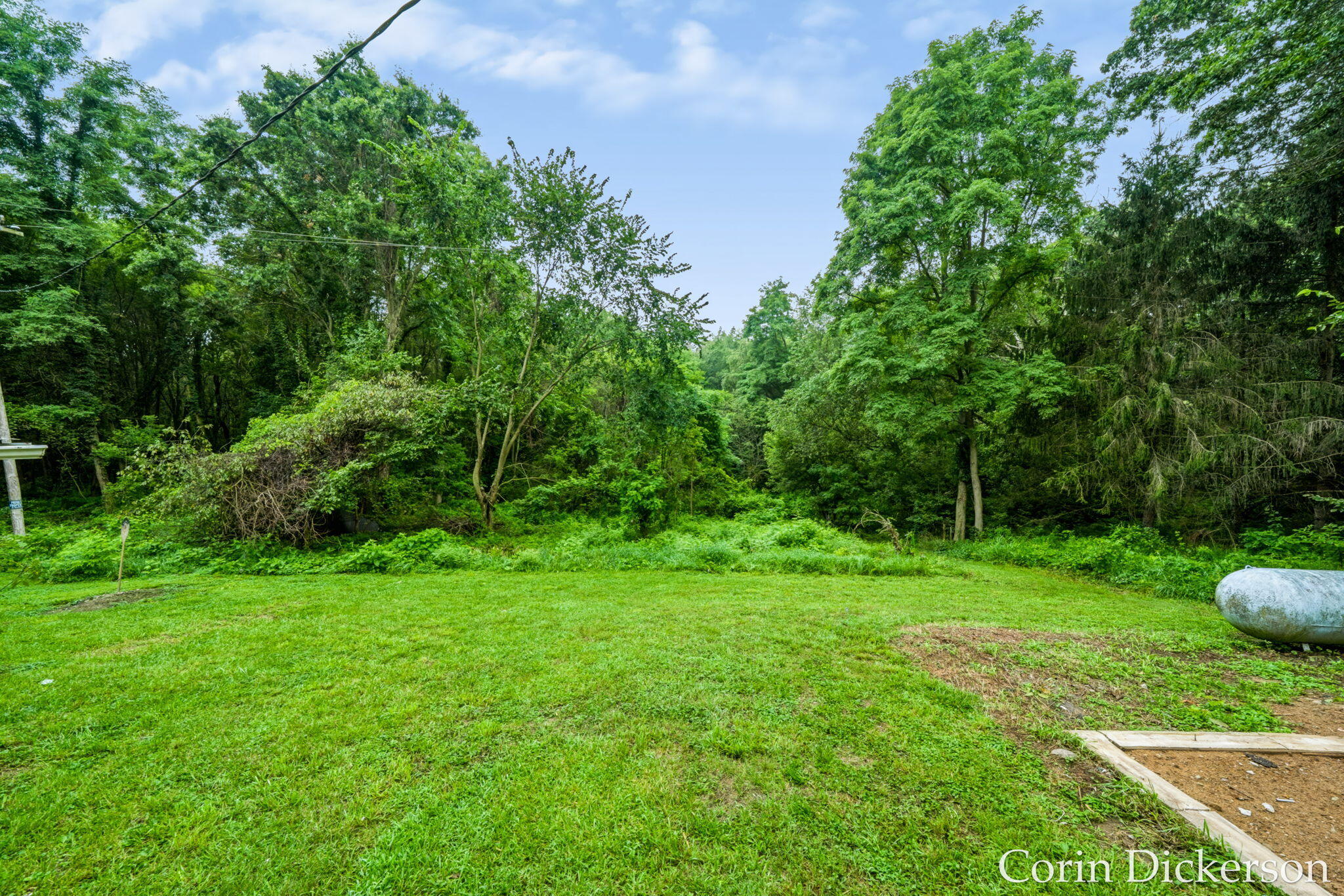 13790 Hutchinson Road Property Photo 30