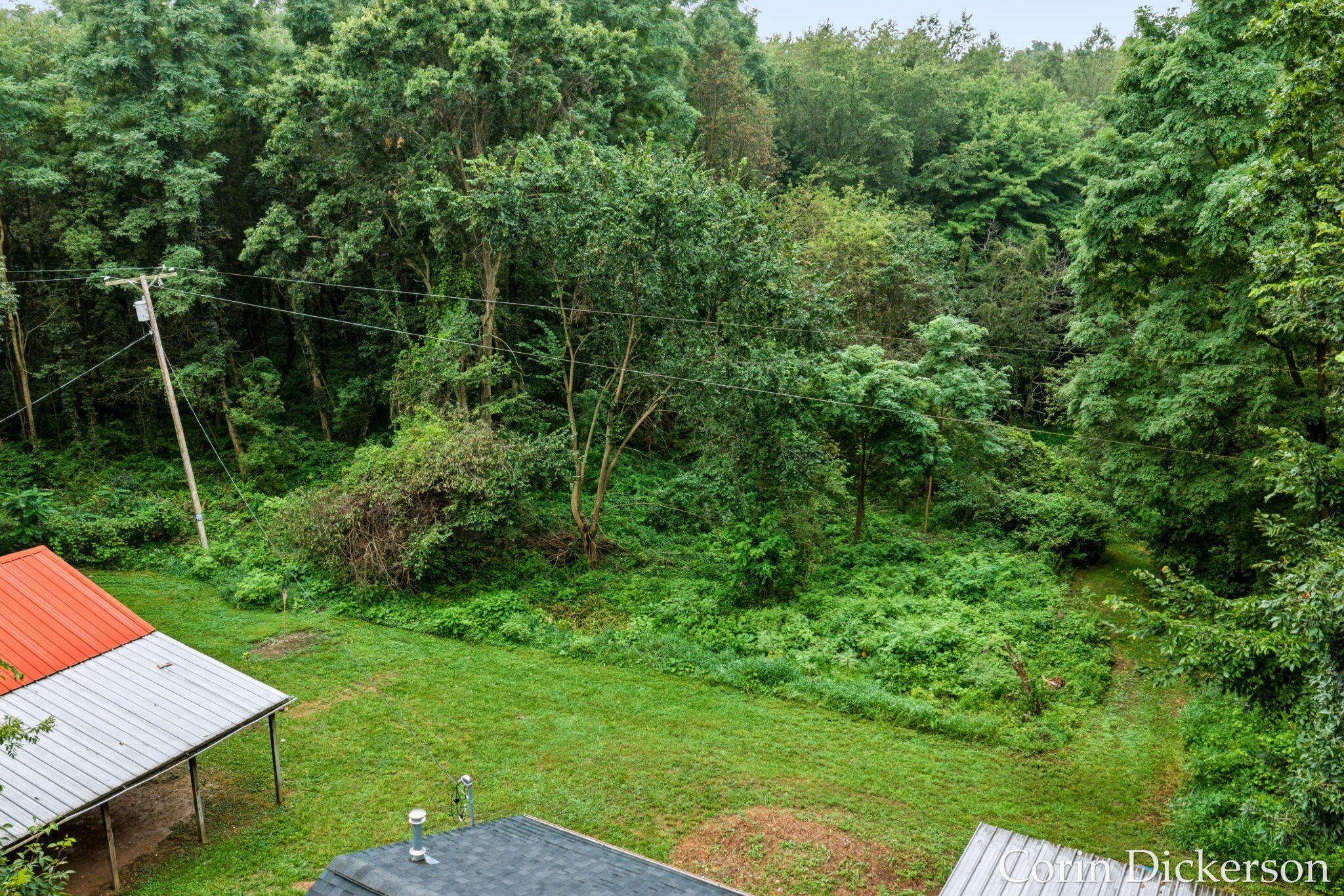13790 Hutchinson Road Property Photo 31