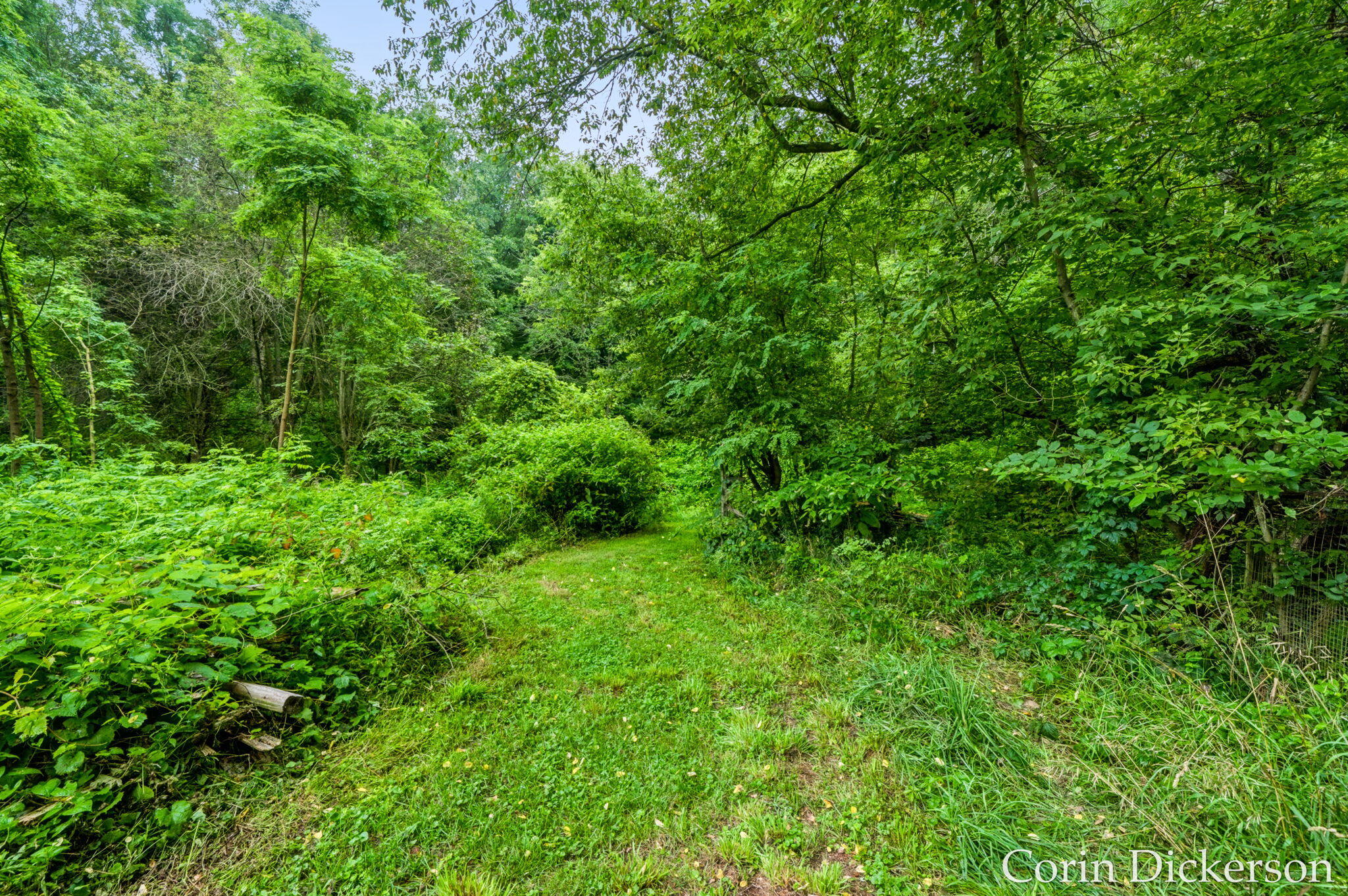 13790 Hutchinson Road Property Photo 33