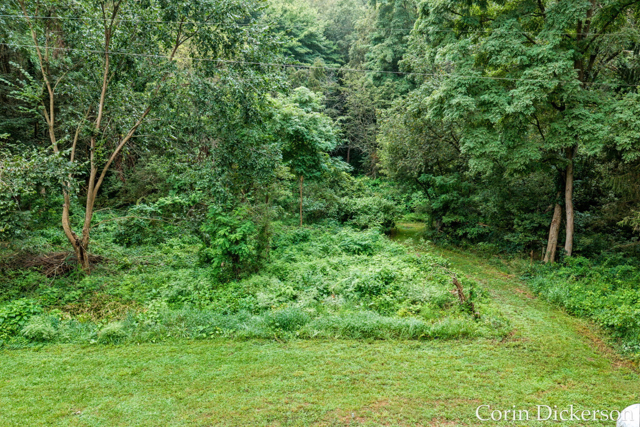 13790 Hutchinson Road Property Photo 39