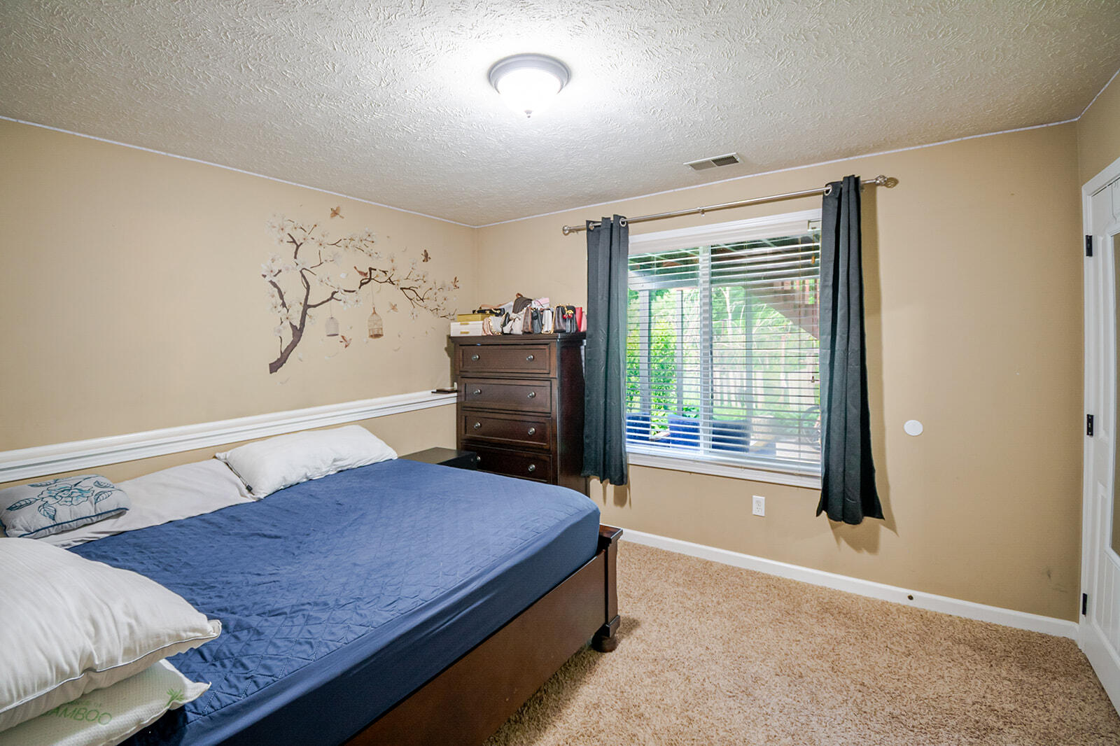 2574 Winterberry Street Property Photo 16