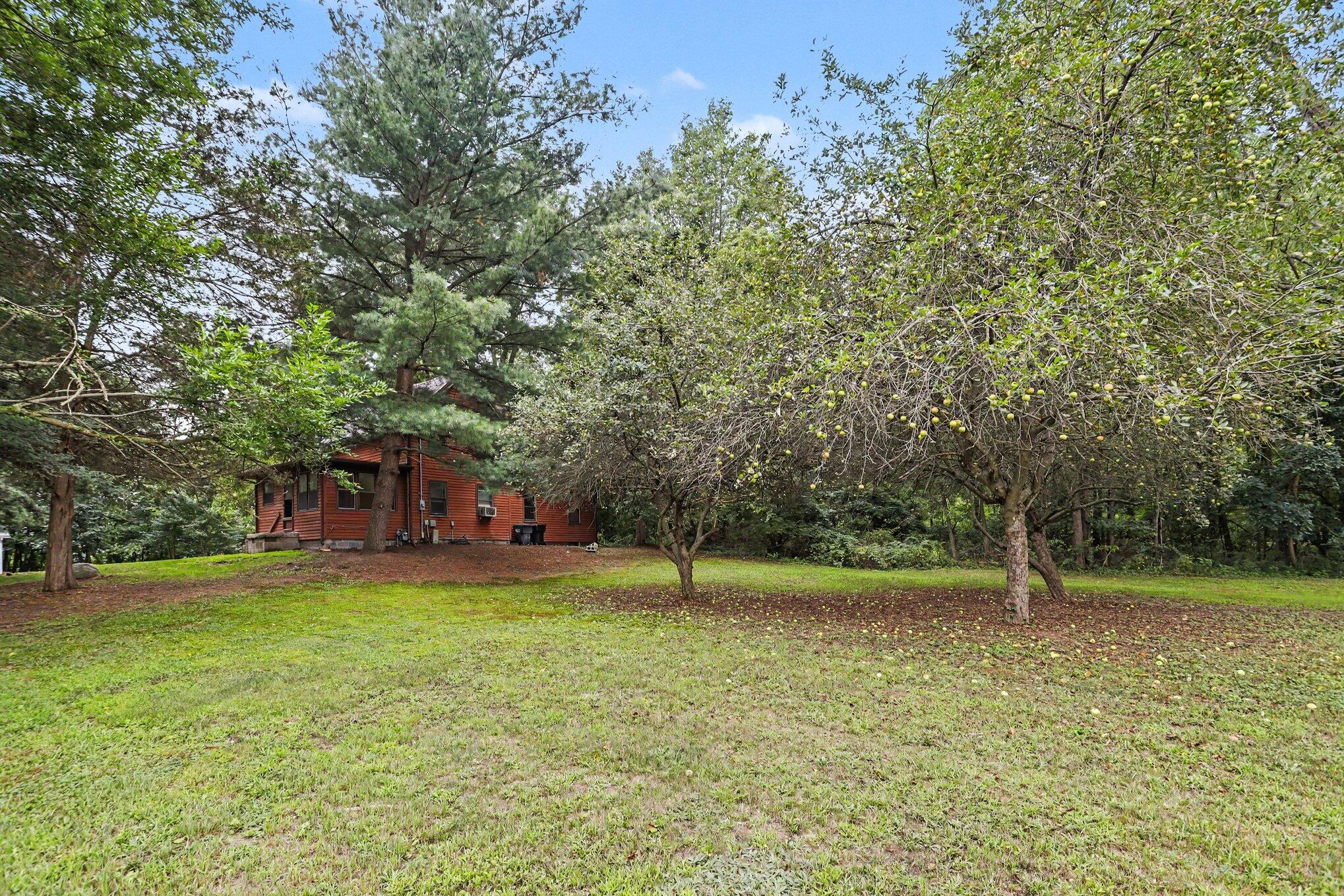 1746 104th Avenue Property Photo 25