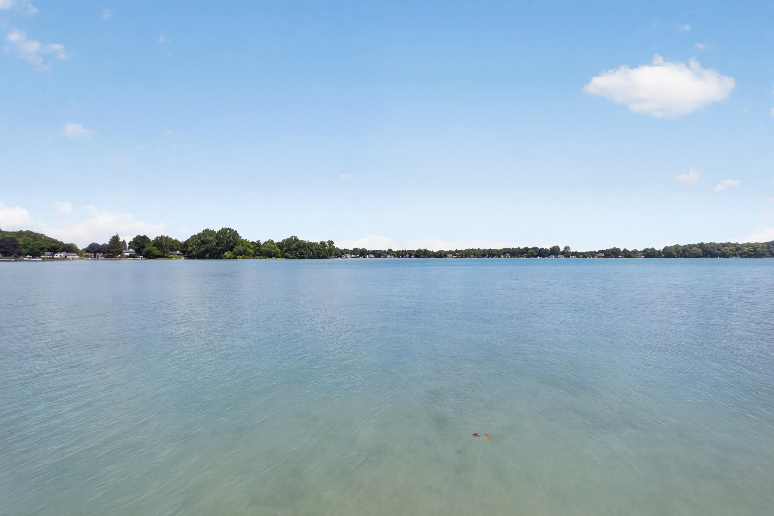 1706 Little Drive Property Photo 49