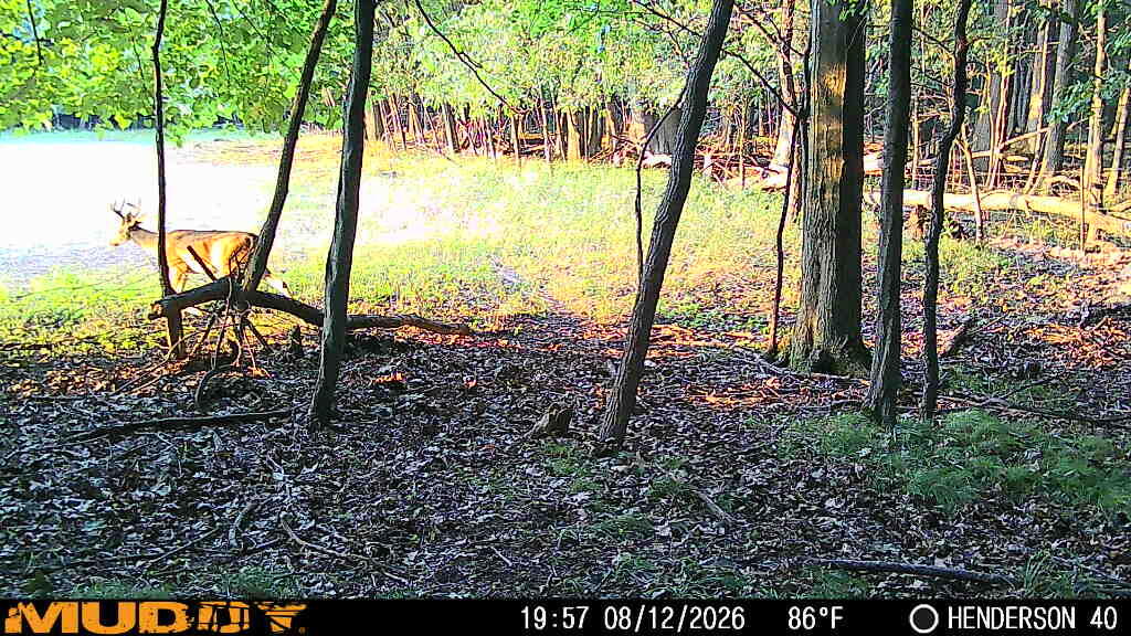 8670 N Baldwin Road Property Photo 75